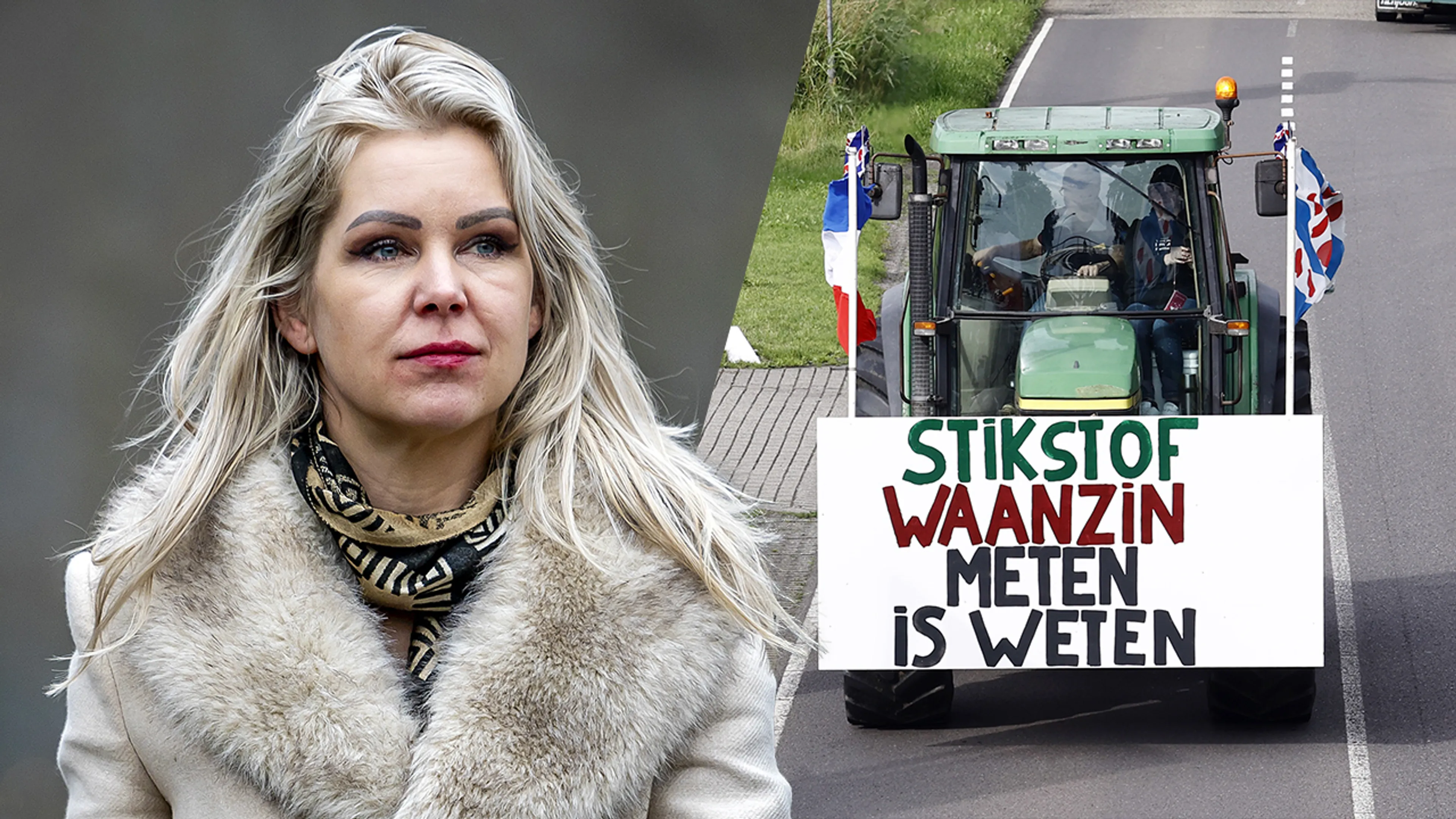 Stikstof-ingreep van landbouwminister Femke Wiersma (BBB) gaat boeren pijn doen