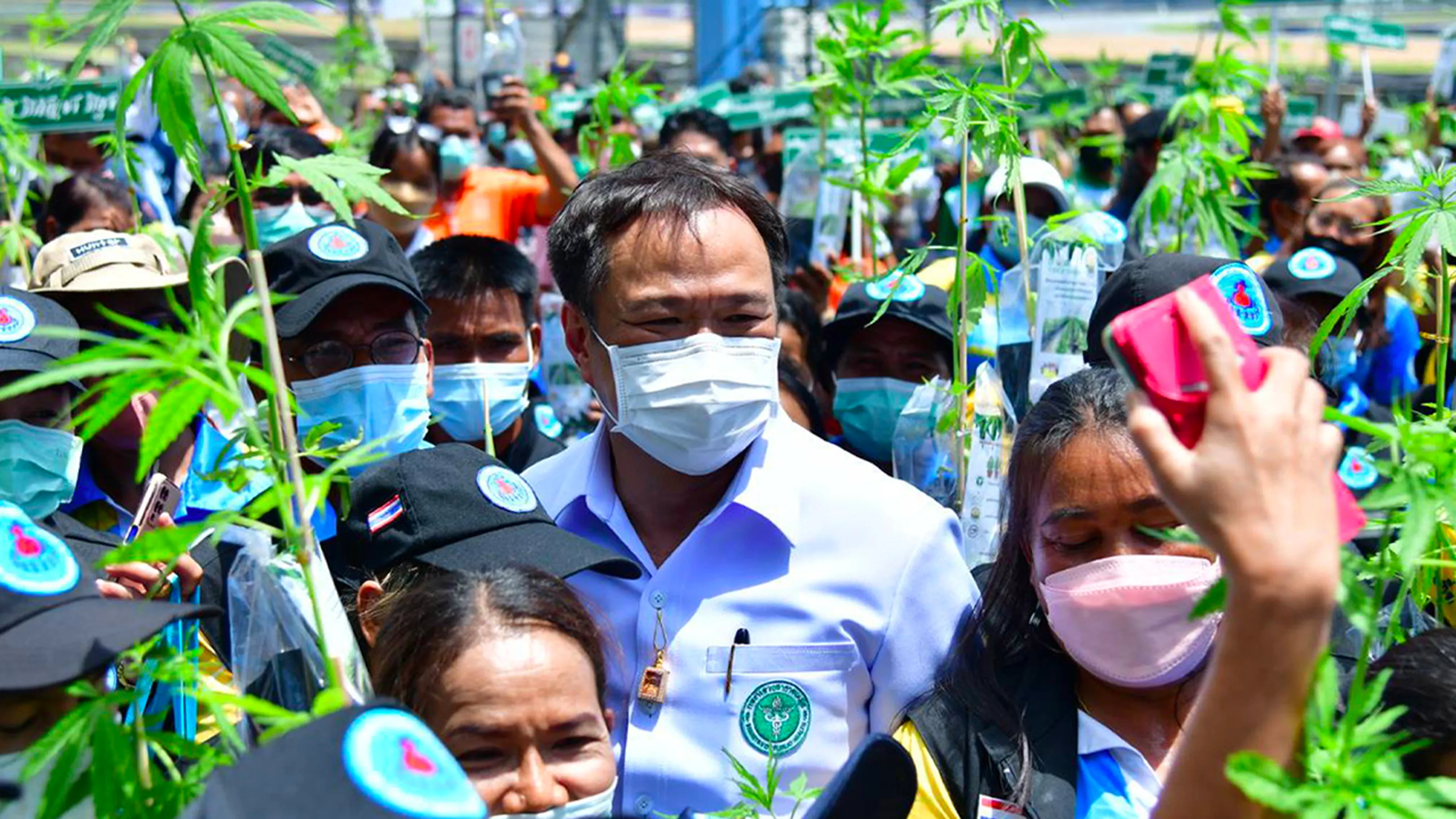 Thailand deelt meer dan miljoen gratis wietplantjes uit