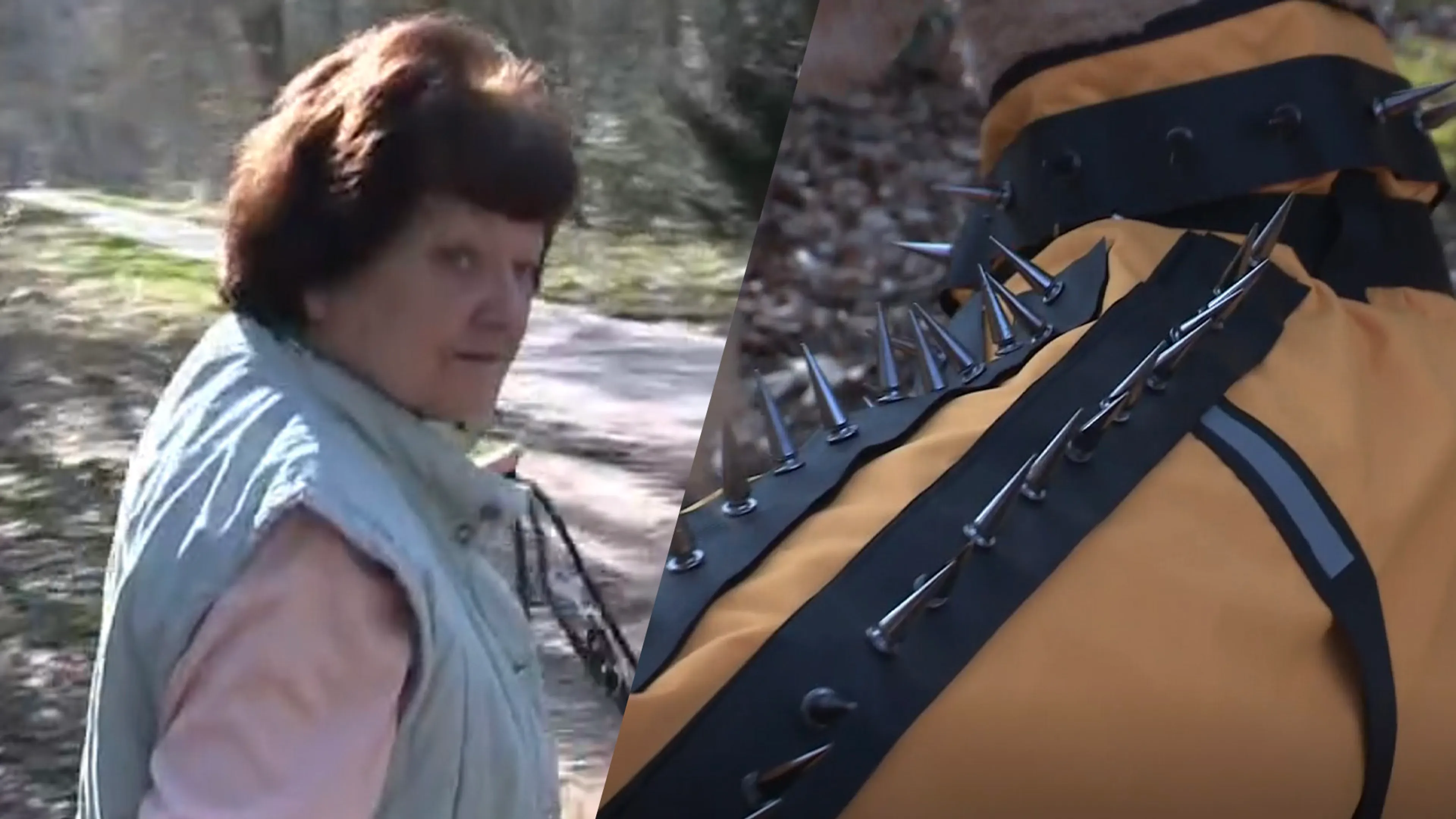 Hetty uit Epe gebruikt speciaal spijkervest om haar poedel te beschermen tegen de wolf