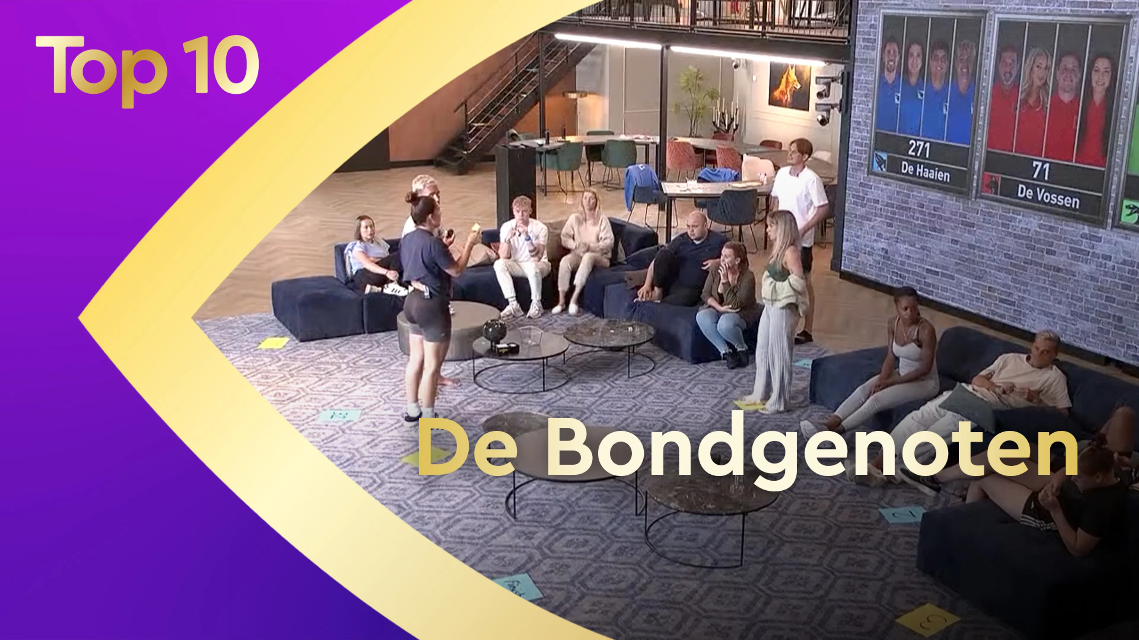Hoogtepunten De Bondgenoten