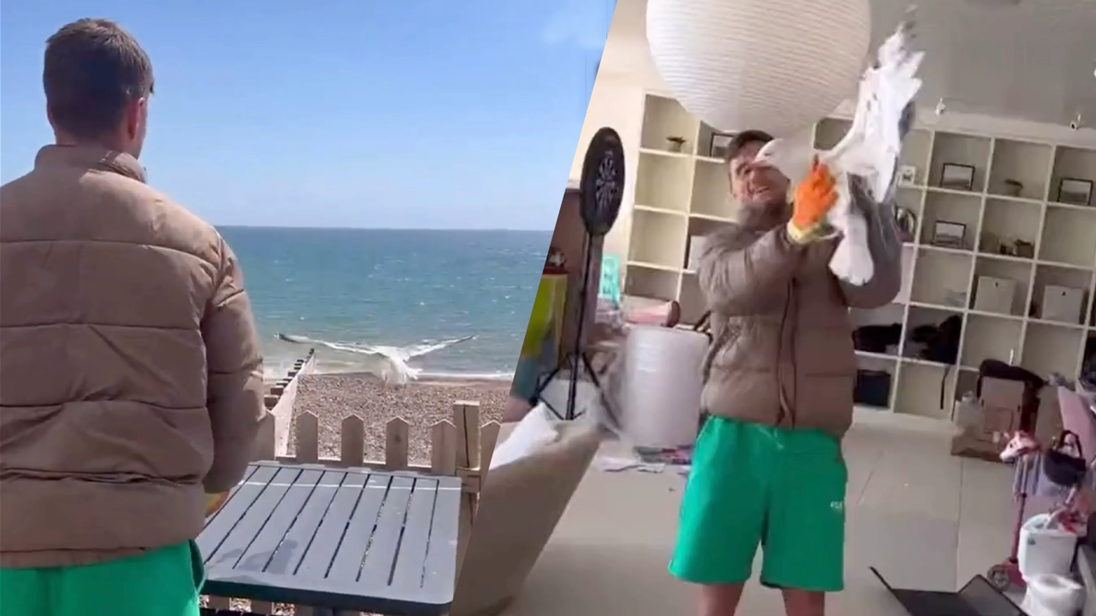 'Seagull' Veltman redt meeuw uit schoorsteen van z'n strandhuis