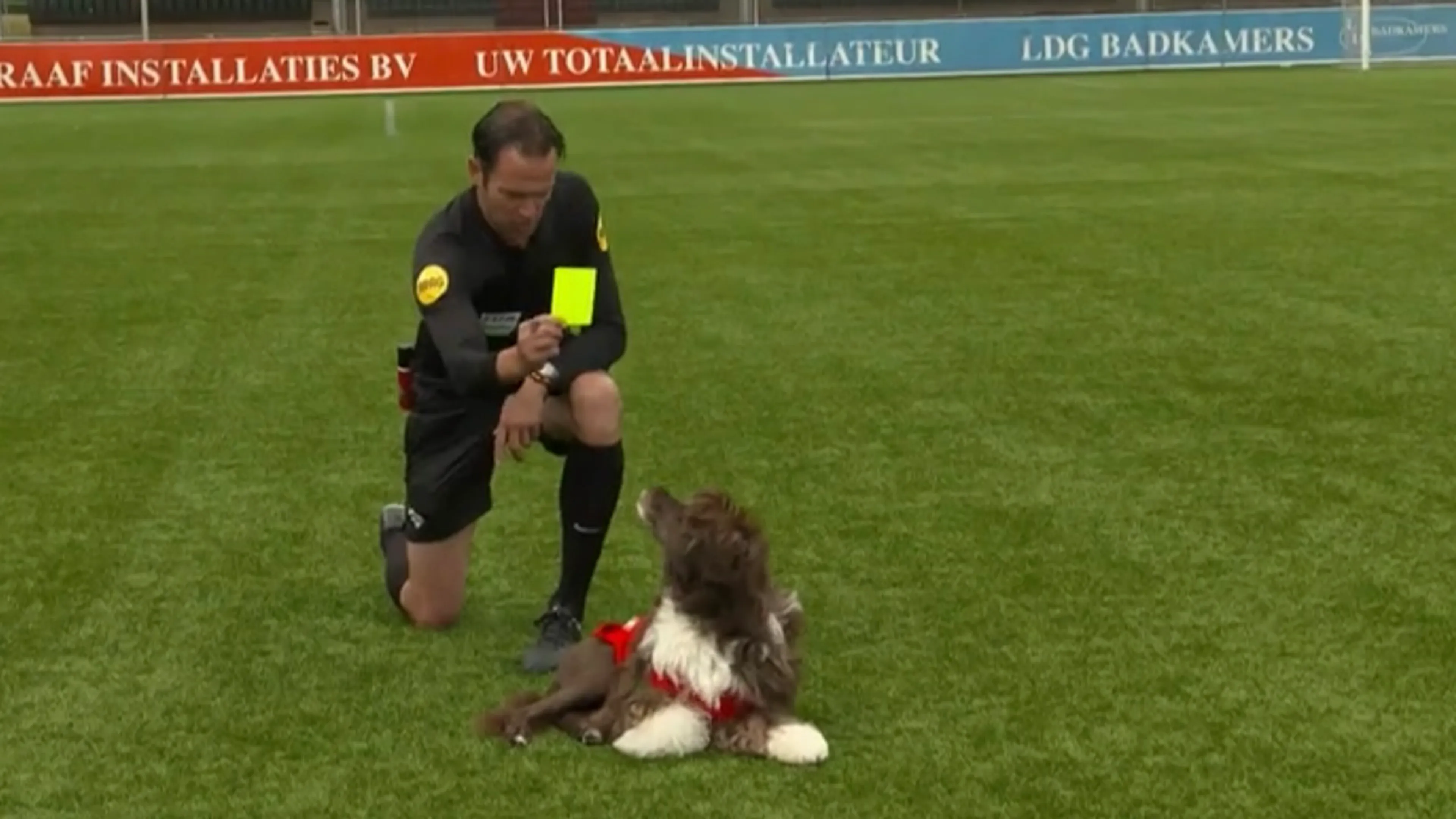 Bas Nijhuis geeft honden geel en rood in 'Even Tot Hier'