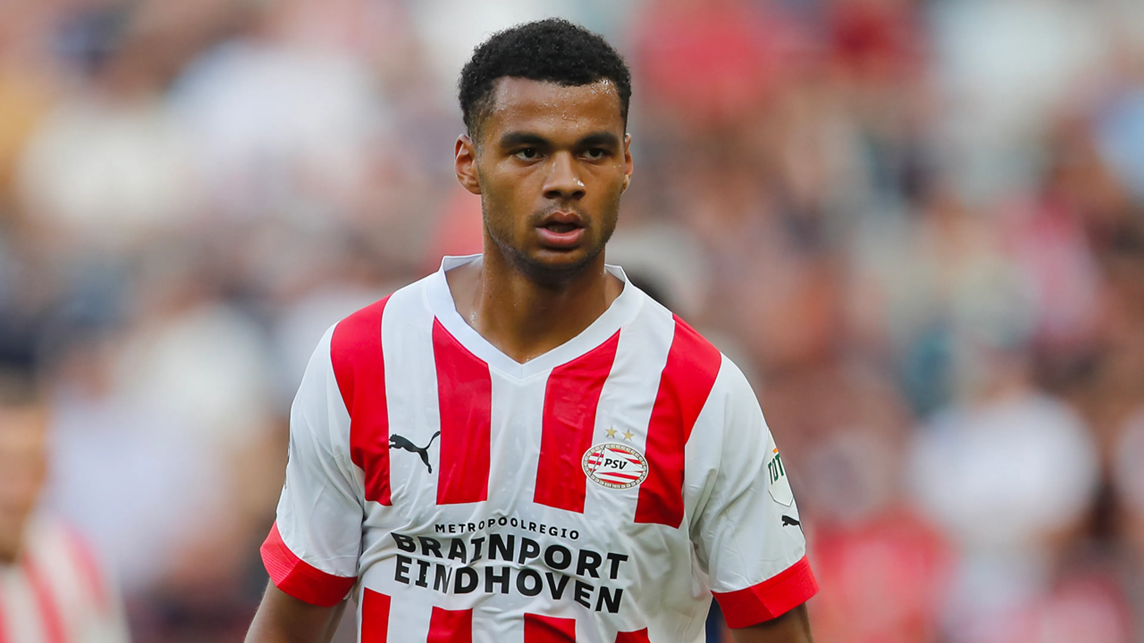 'Arsenal klopt weer bij PSV aan voor Cody Gakpo'