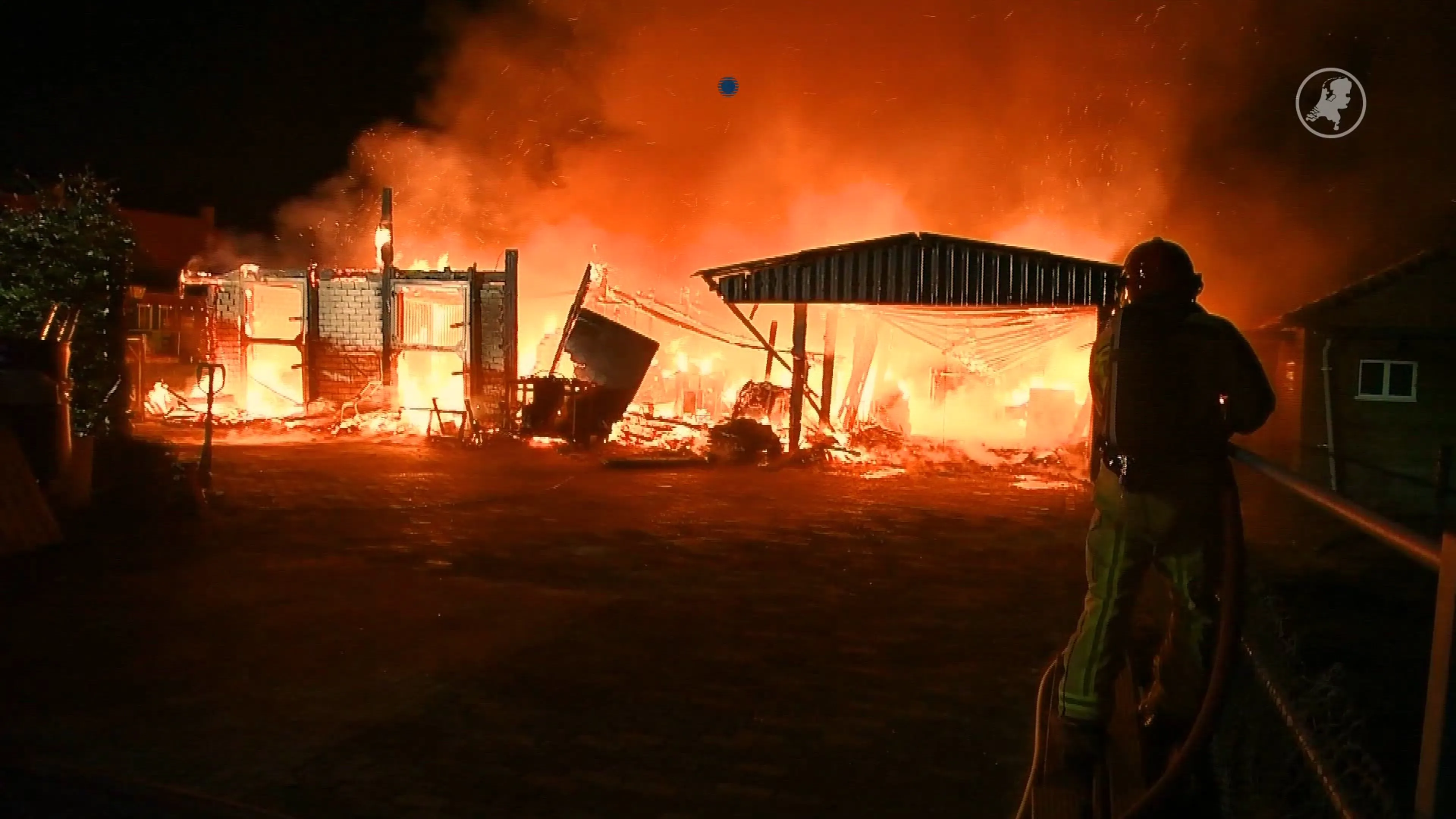 Grote schuurbrand in Brabantse Luyksgestel, varkens gered