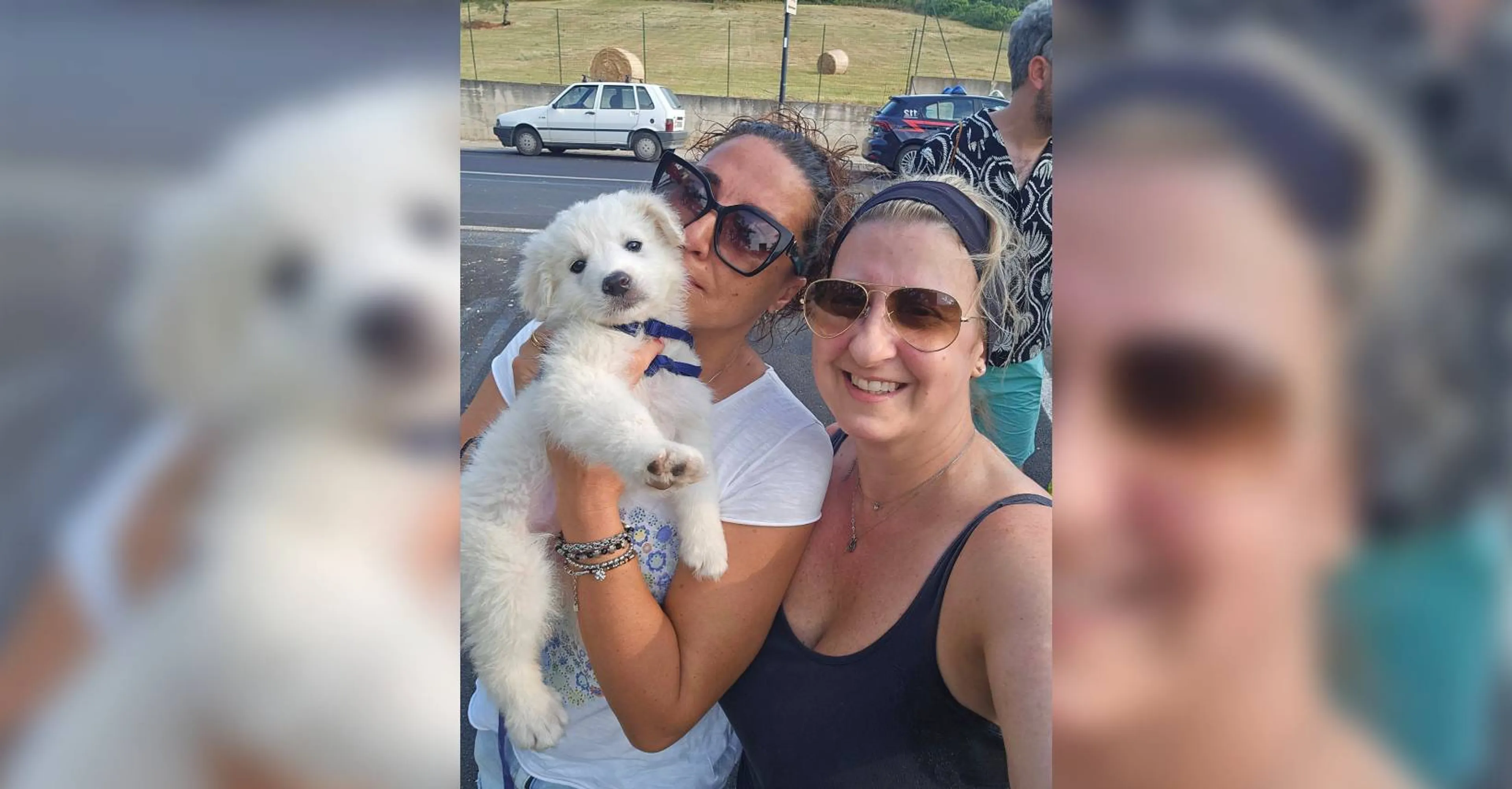 Nederlanders grijpen in bij mishandeling hondje: eigenaar zet voet op keel