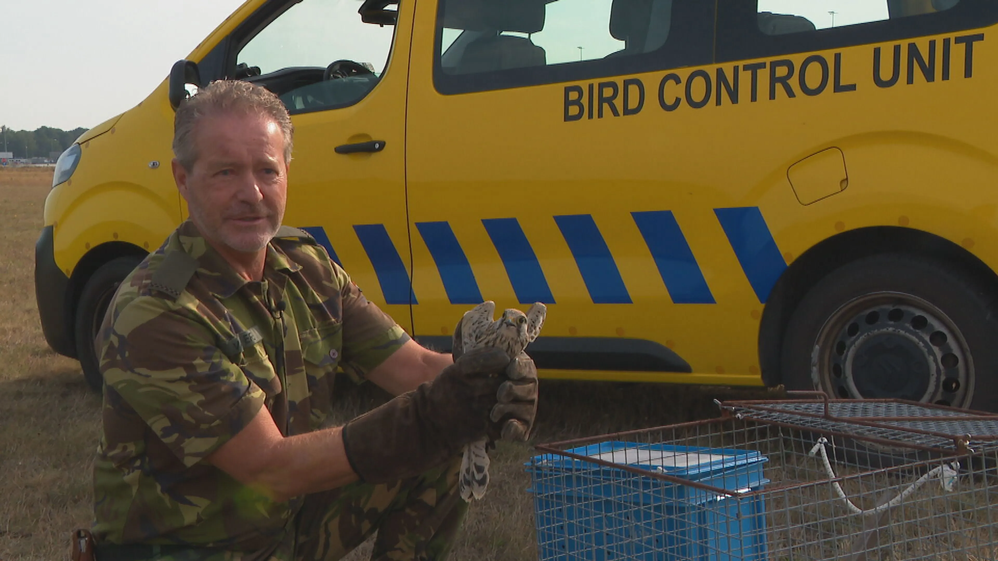 Ad verjaagt vogels om botsingen met vliegtuigen te voorkomen