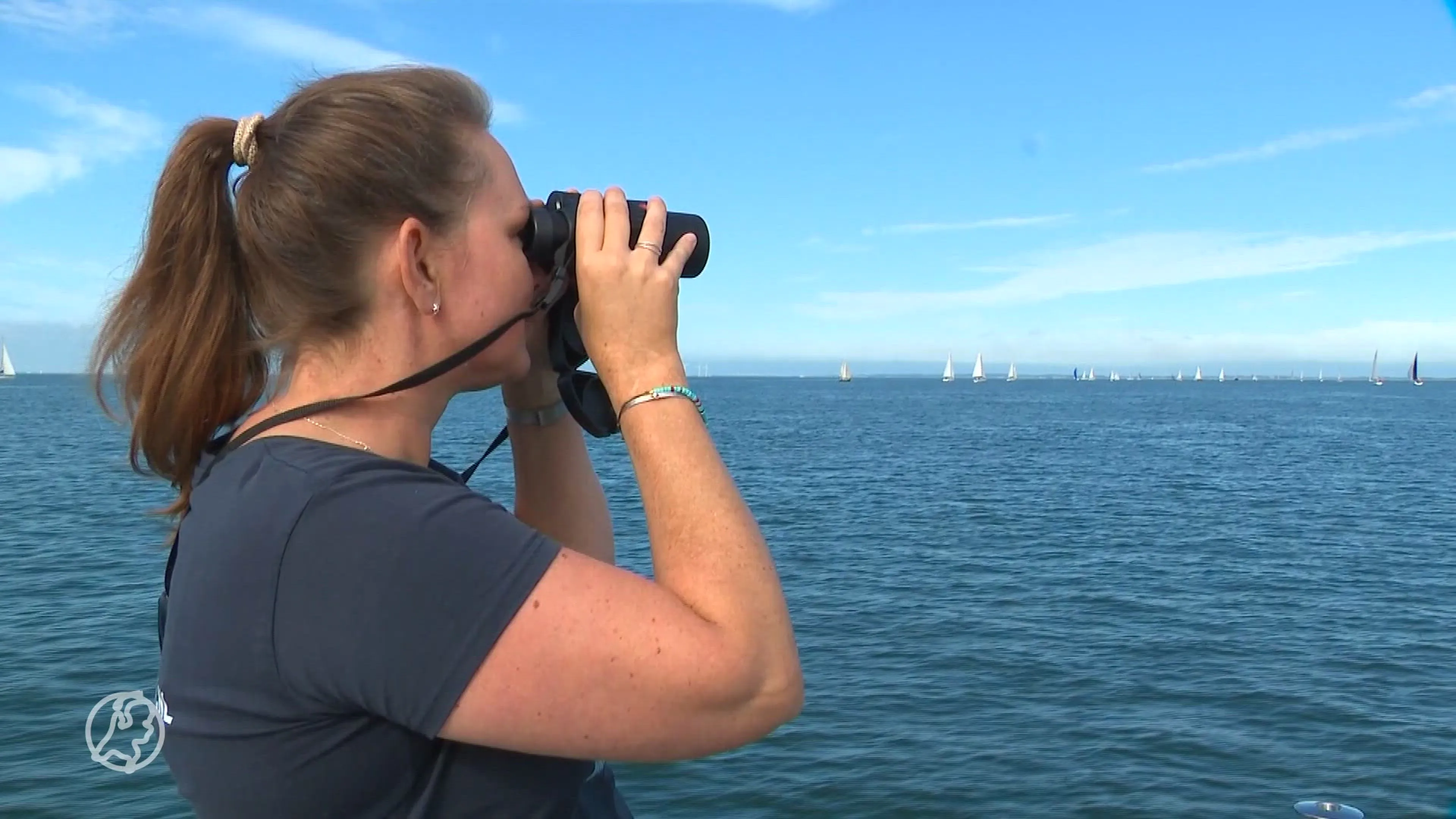 De uitslag is binnen! 60 walvissen geteld in Nederlandse wateren