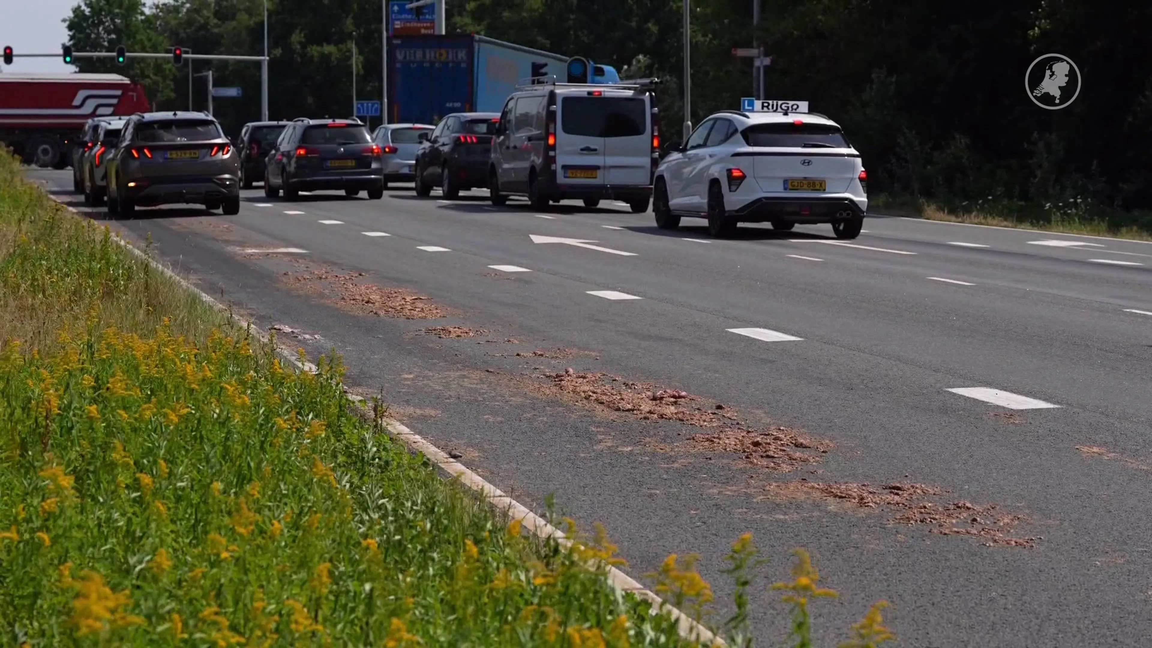 Vrachtwagen laat kilometerslang spoor van slachtafval achter Best