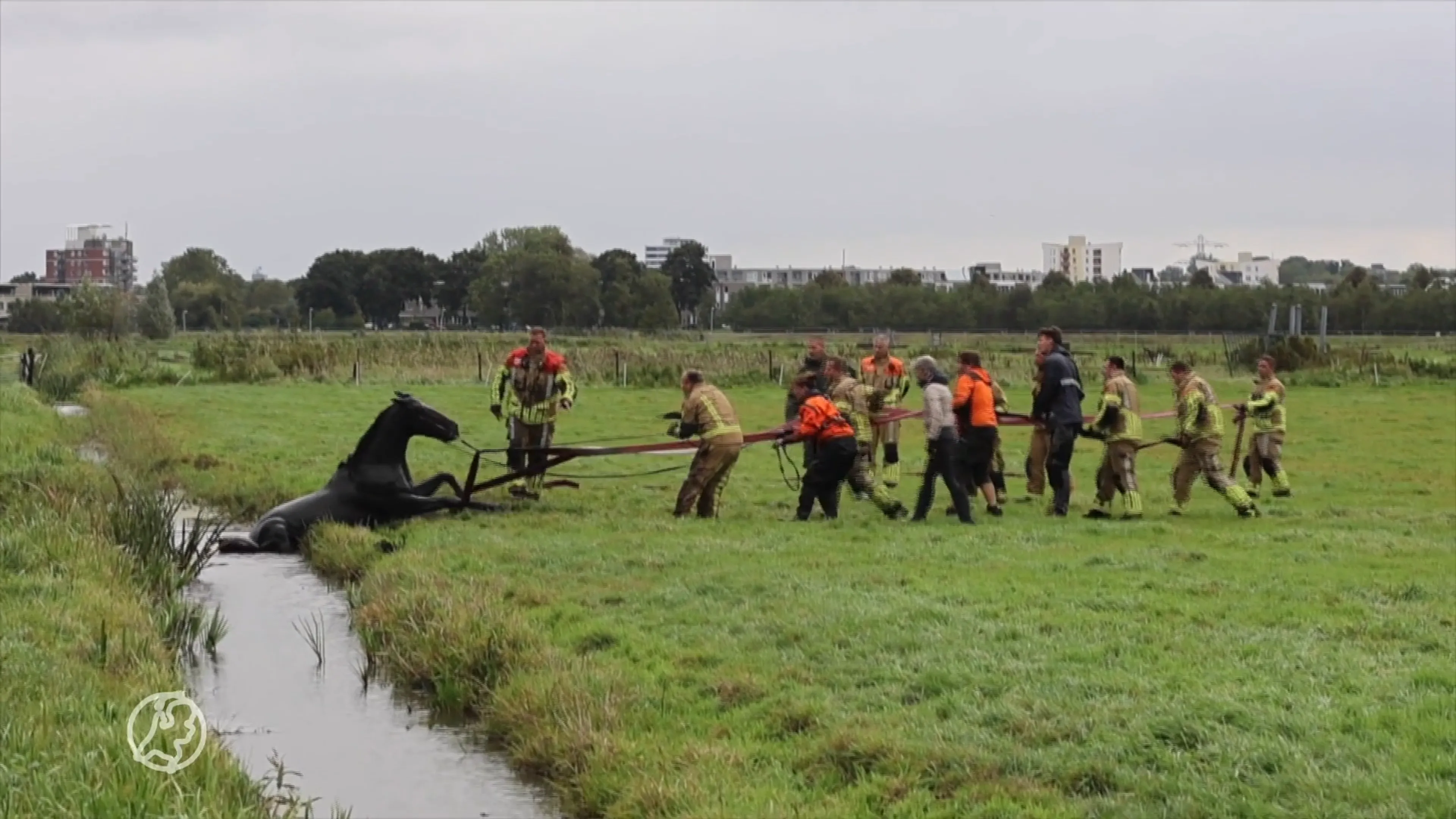 Paard maakt misstap en zit urenlang vast in sloot