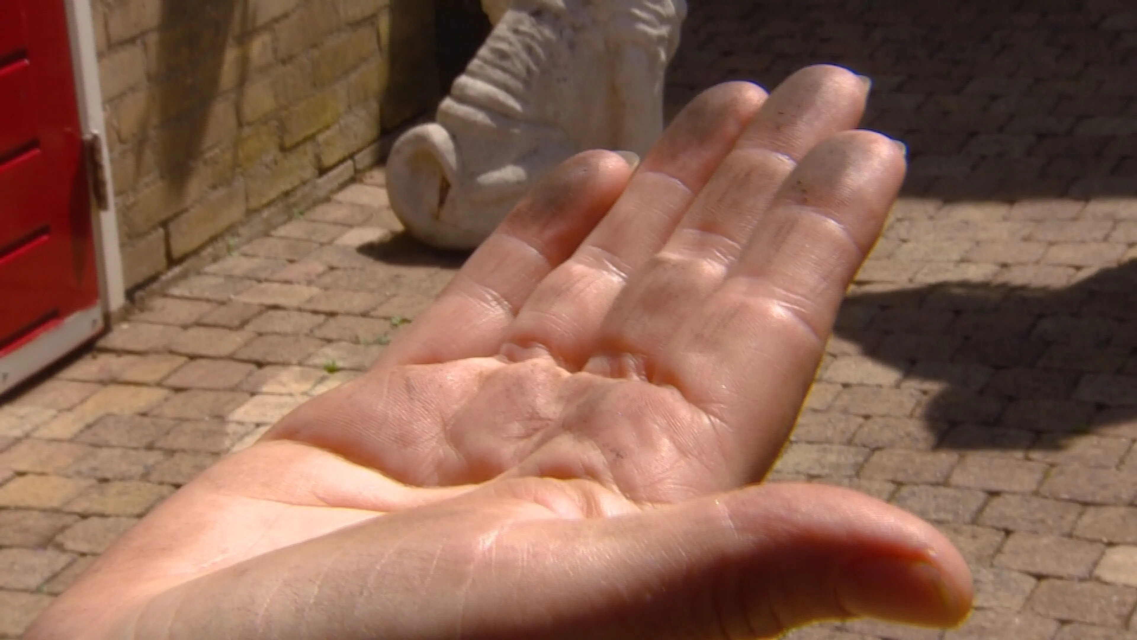 Hoekenezen zijn het zat: al dagenlang daalt er zwart stof neer in het dorp