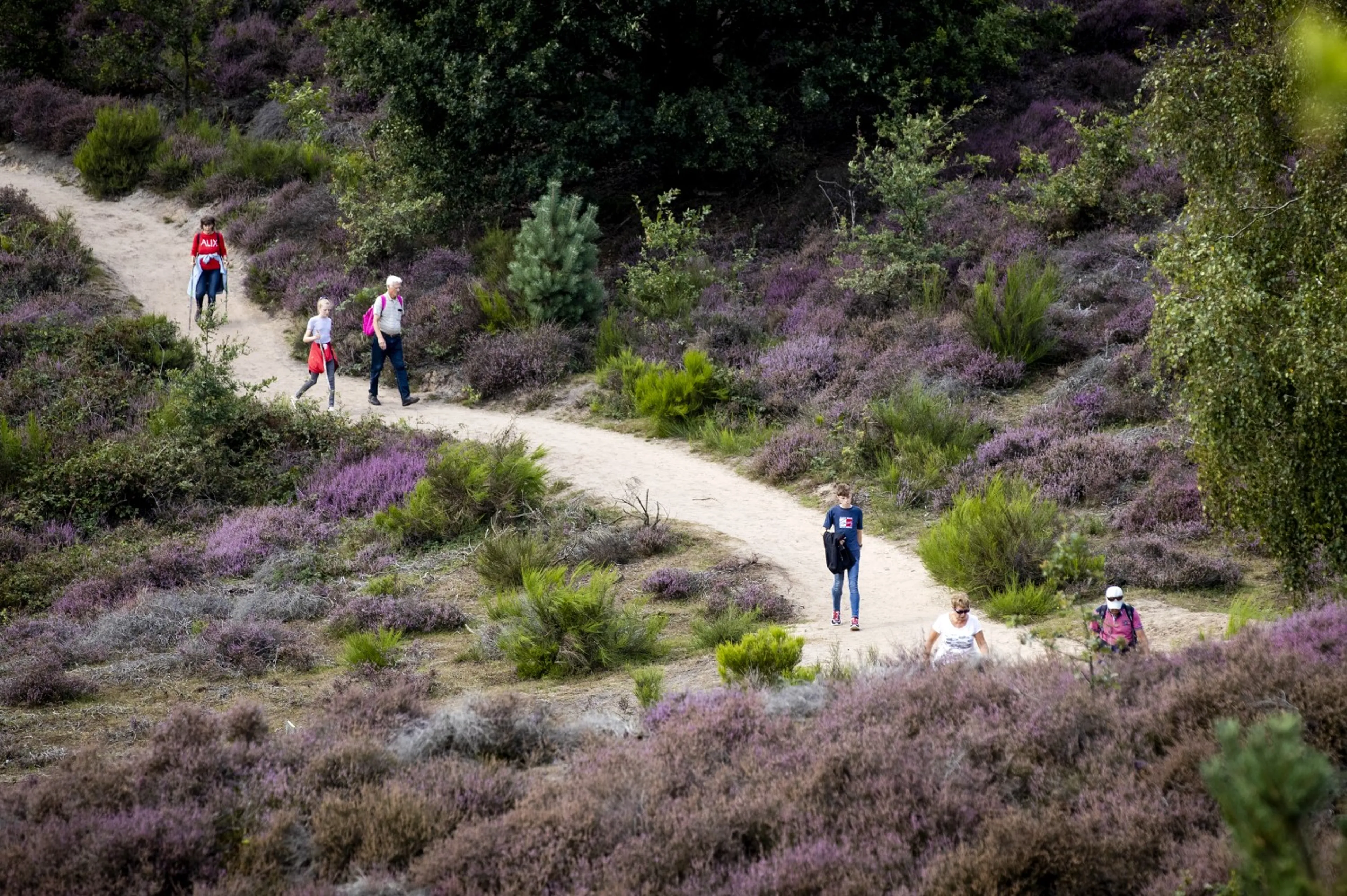 Veluws natuurgebied Posbank afgesloten wegens drukte