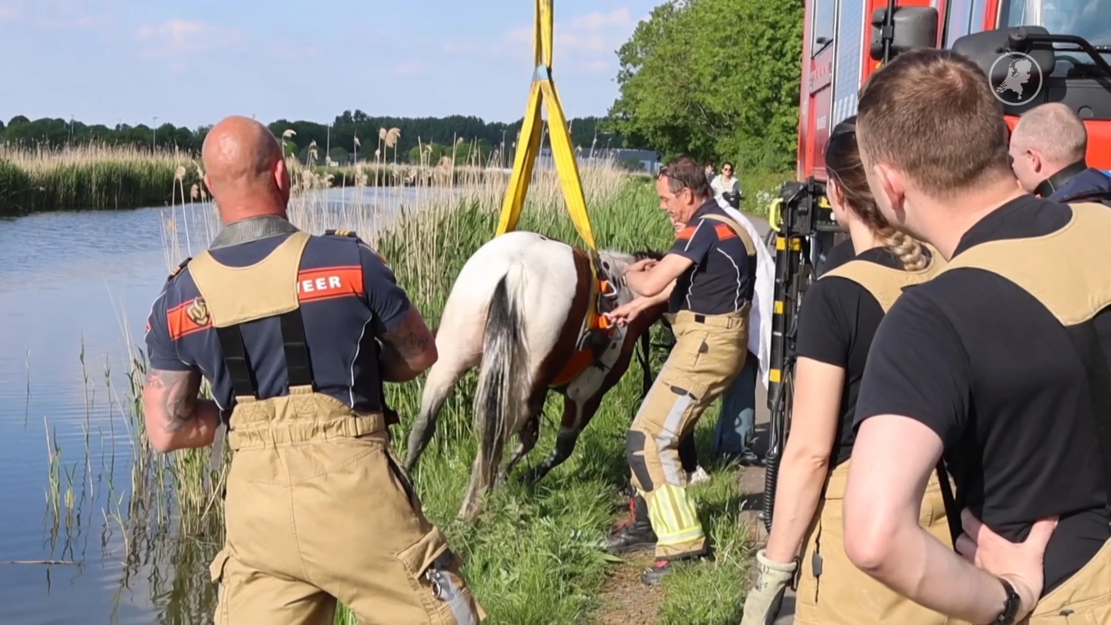 Paard en wagen belanden in water, paard door brandweer gered