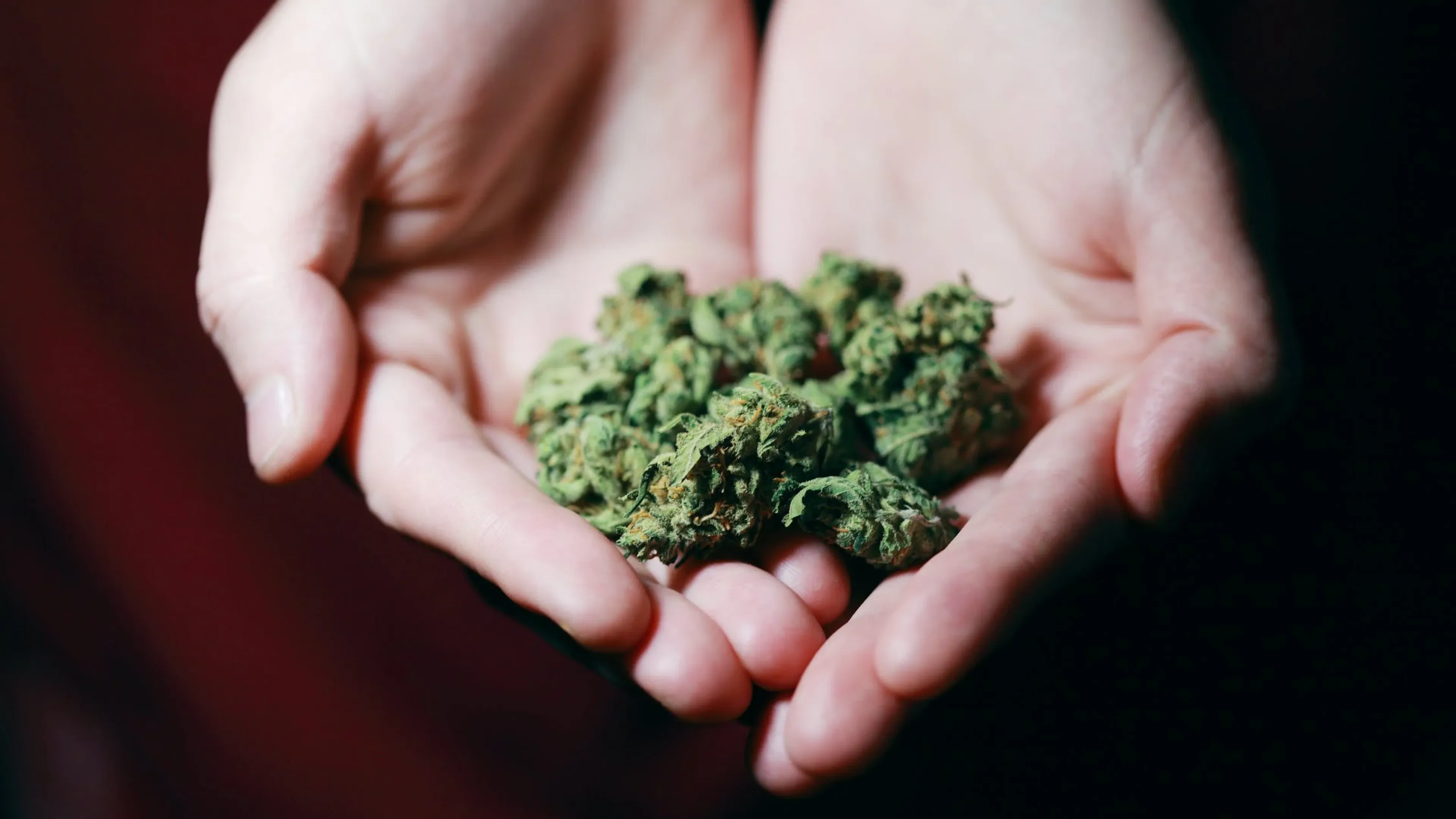 Leerlingen en rijinstructeur stoned aangehouden