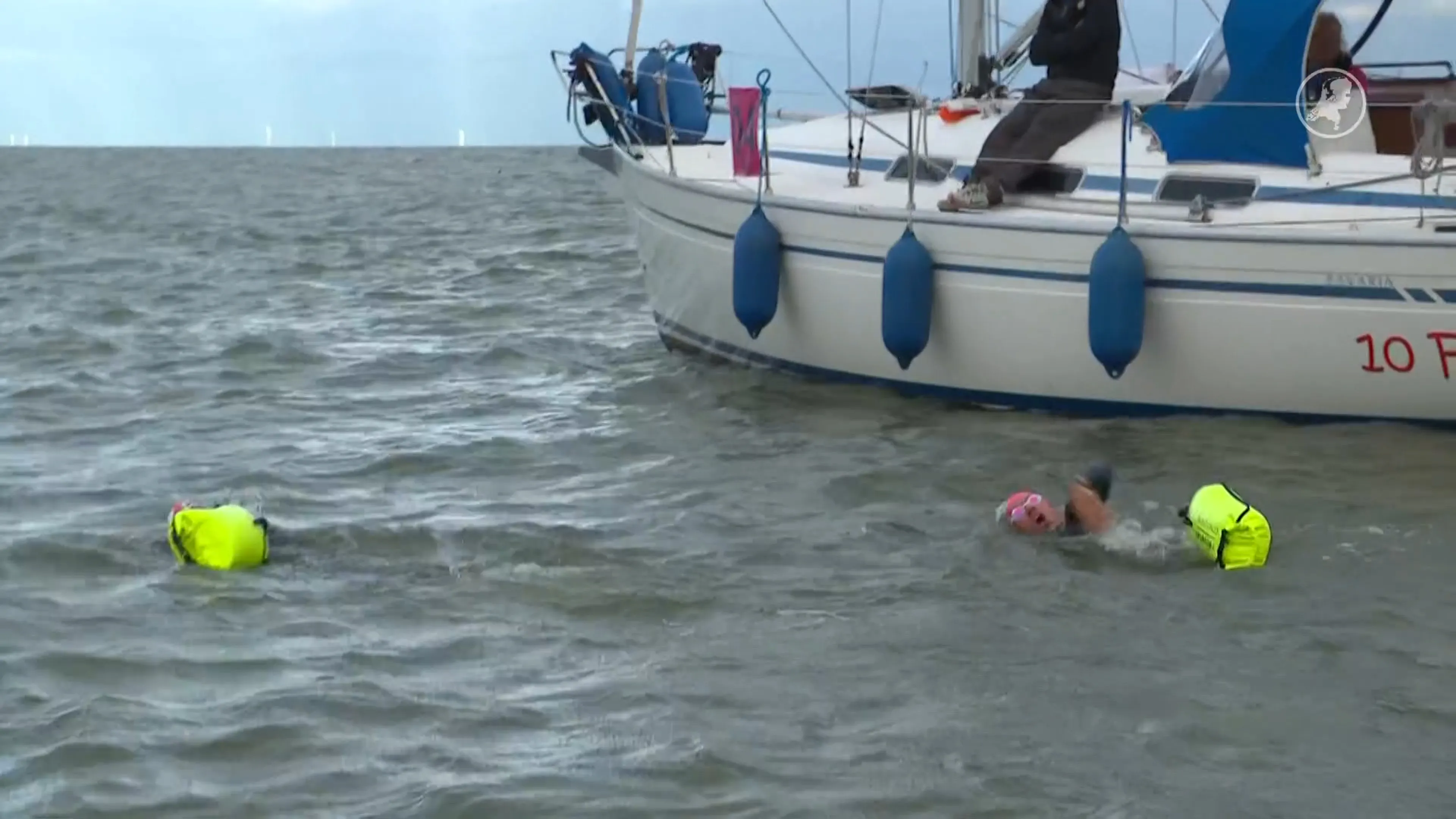 Zwaarste zwemmarathon van Nederland gestart: zwemmers trotseren IJsselmeer