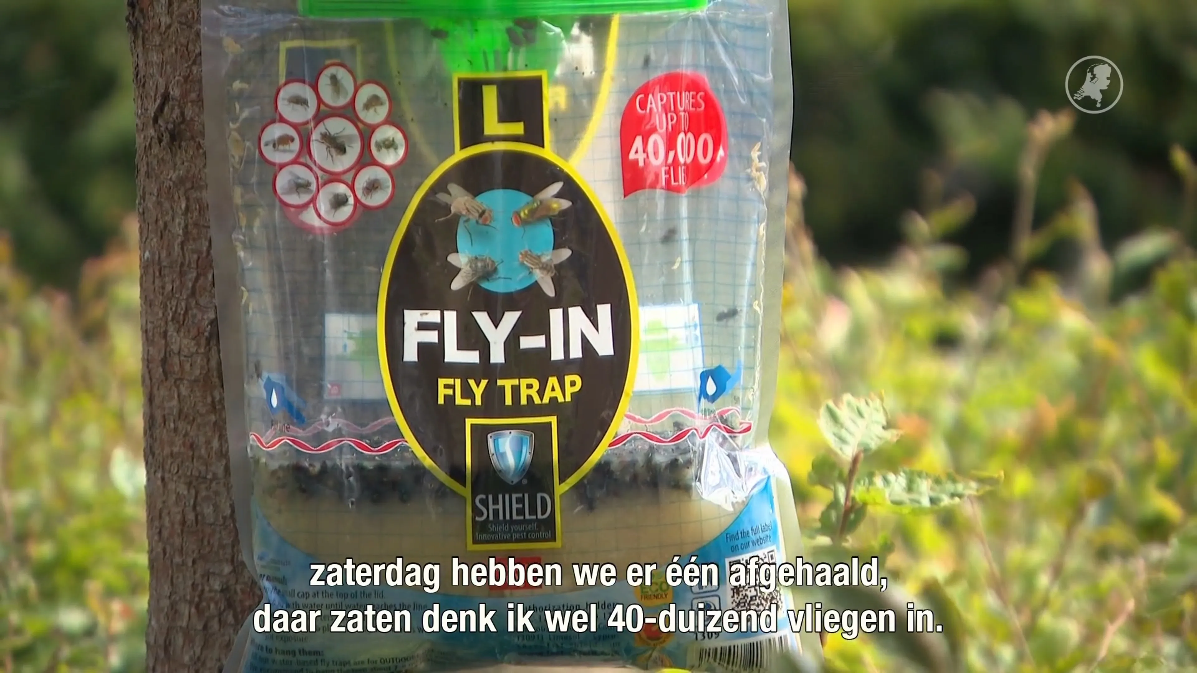 Buurt in Delfgauw wordt knettergek van vliegenplaag: 'Iedere zomer is het raak'