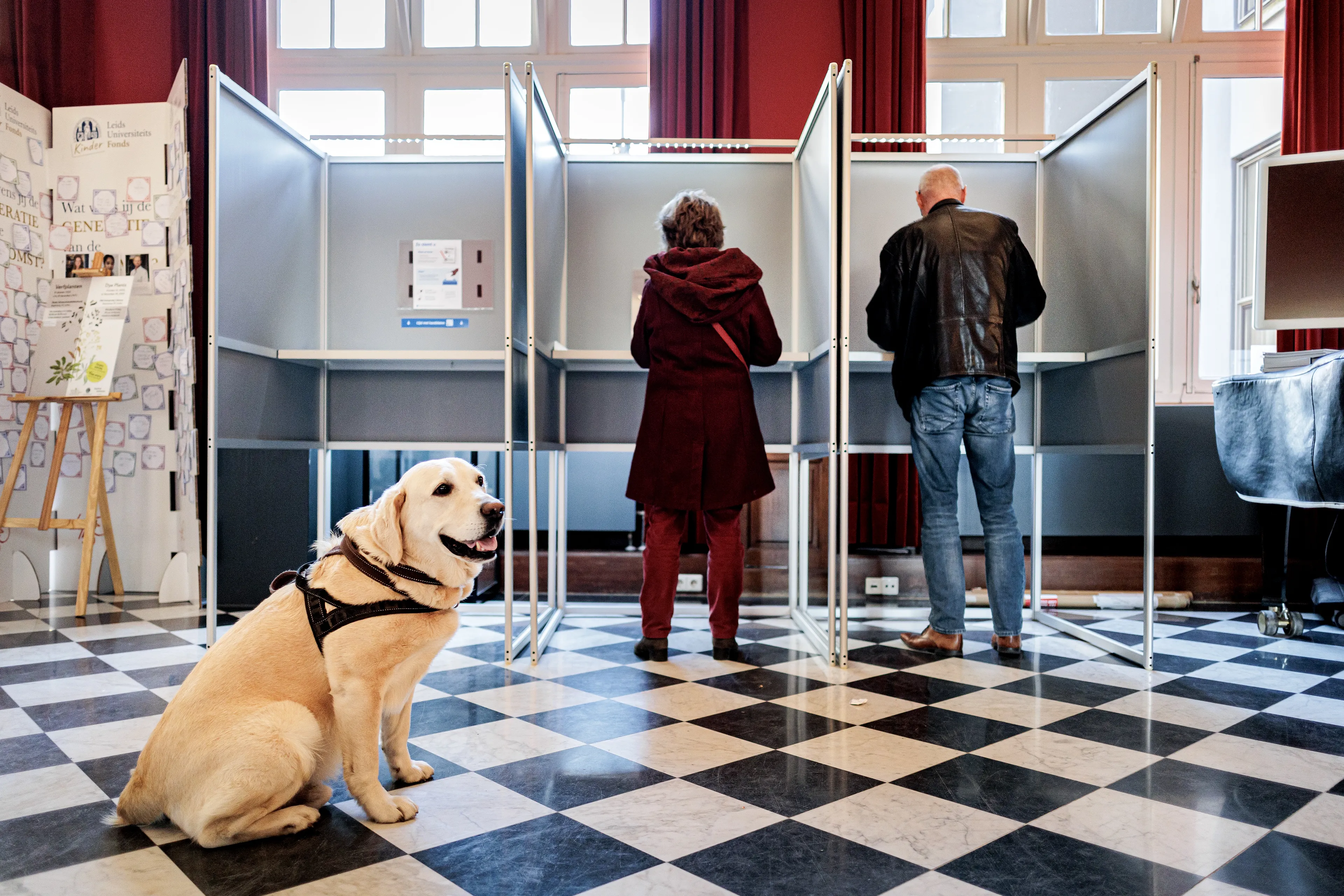 Opkomst stijgt licht: meer Nederlanders naar de stembus