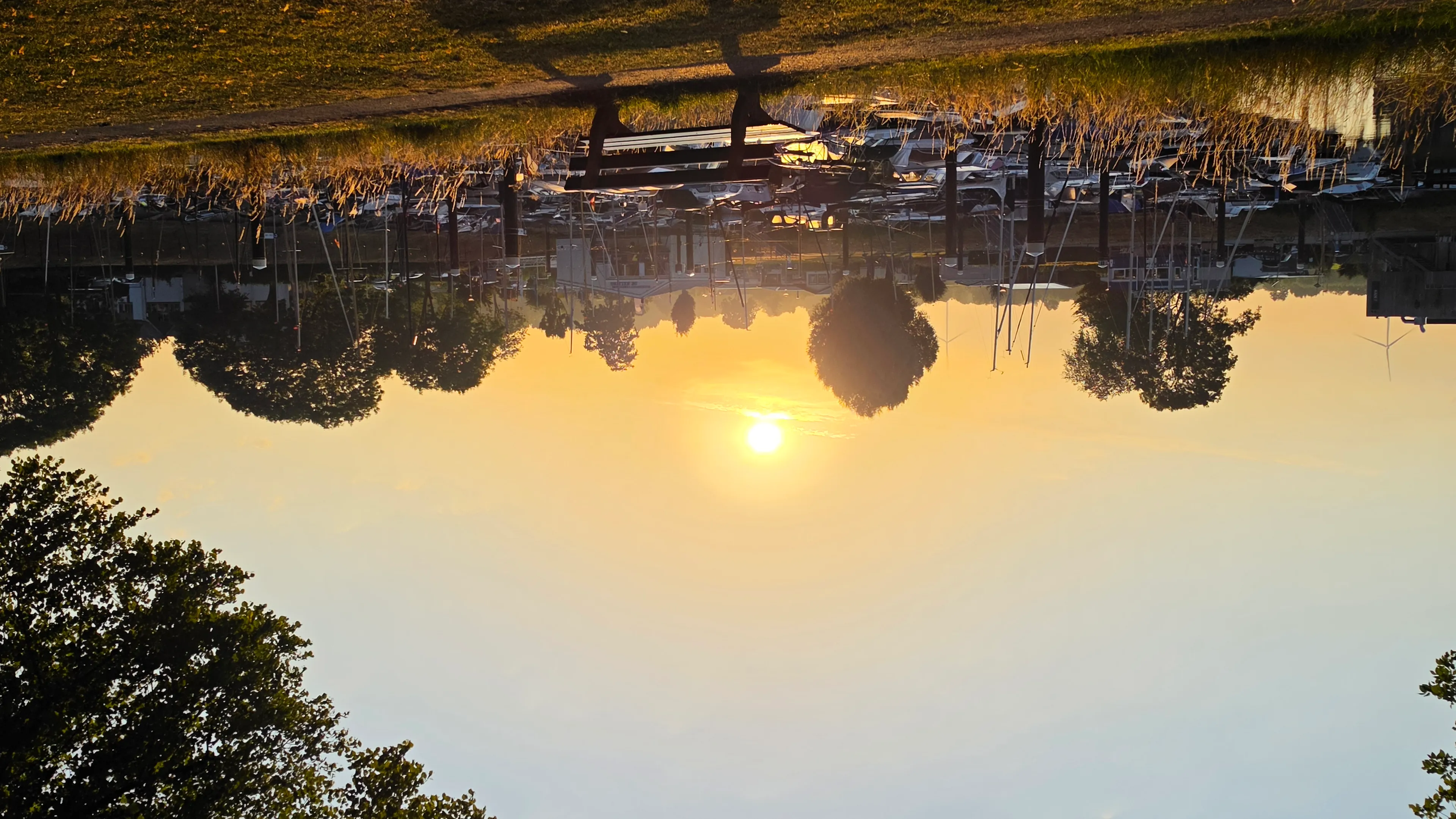 Zonnige dag met lokaal tropische temperaturen en kleine kans op een bui