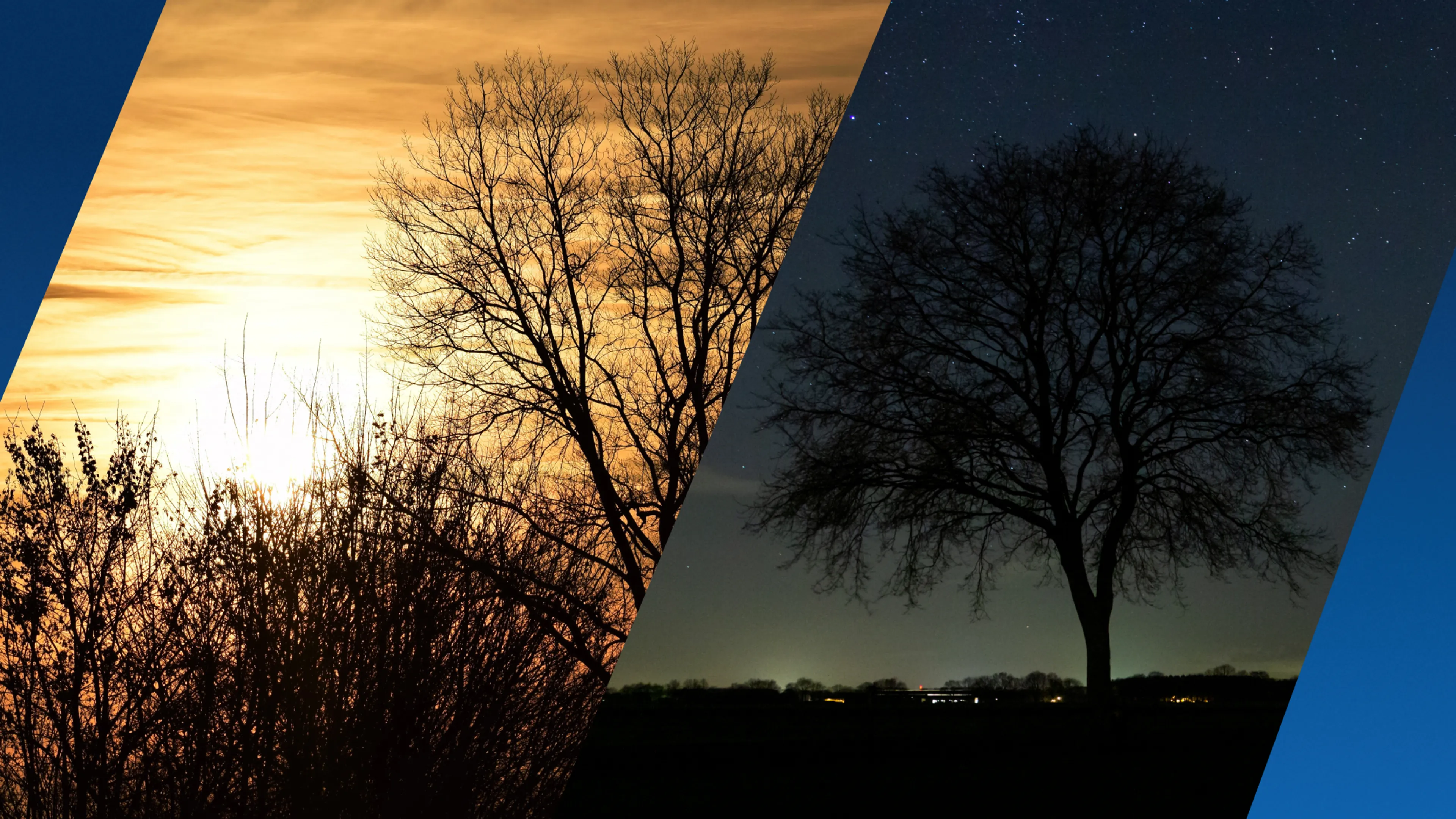 Kortste dag van het jaar voorbij: dit doet meer zon en daglicht met je lichaam