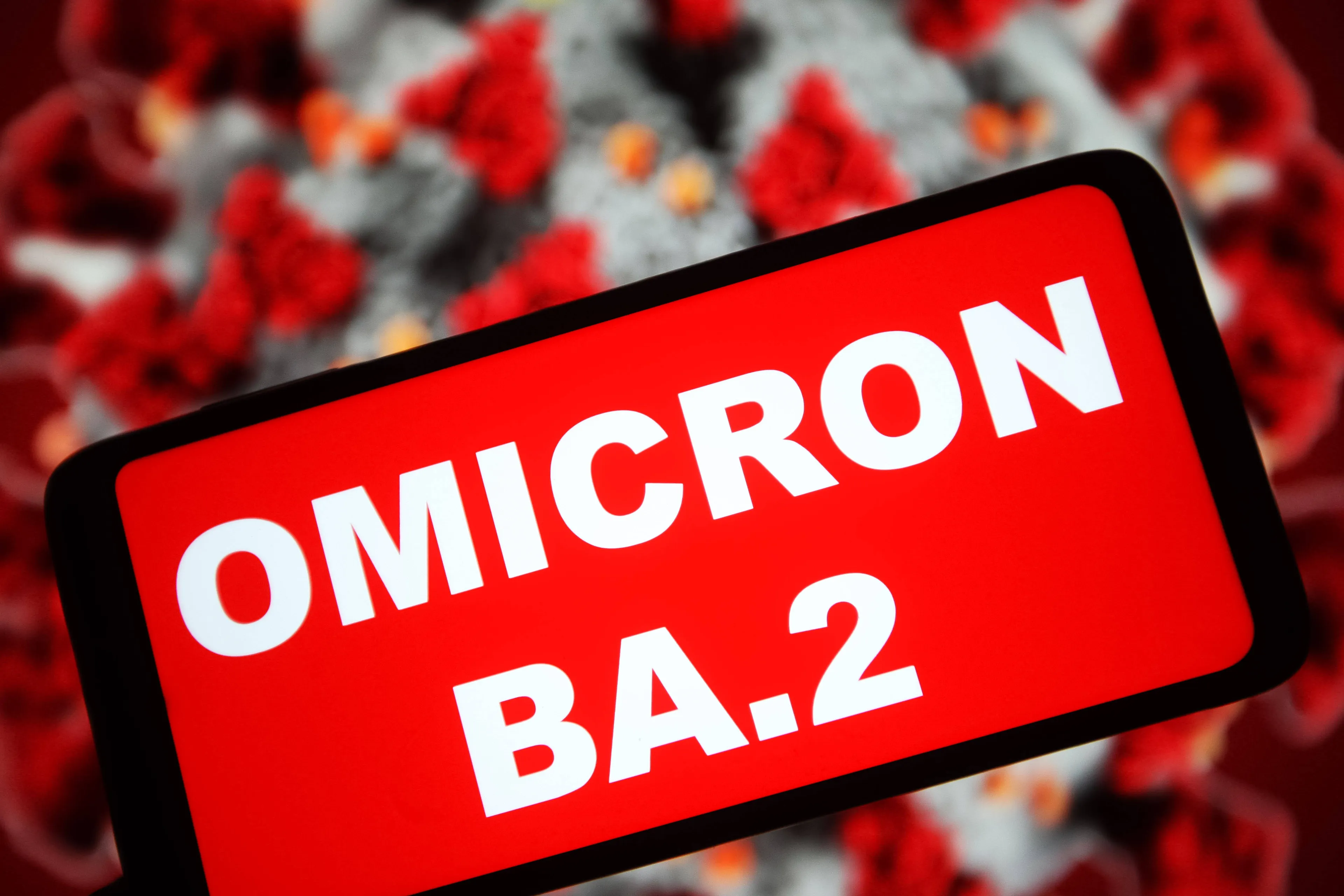 BA.2 is besmettelijker dan omikron, dit is wat we nu over de subvariant weten