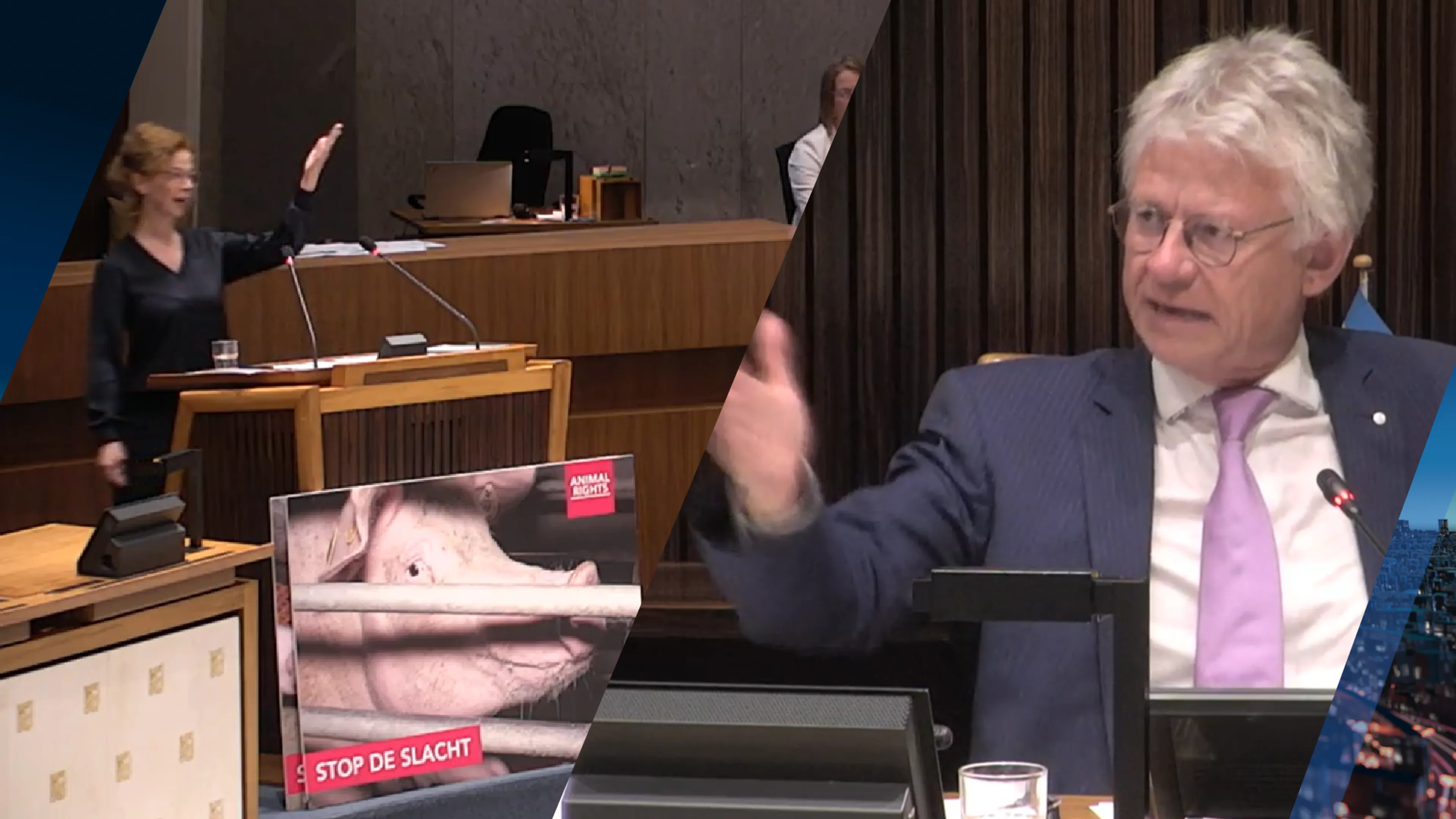 Ophef in Gelders parlement na tonen dierenfoto's, voorzitter woedend