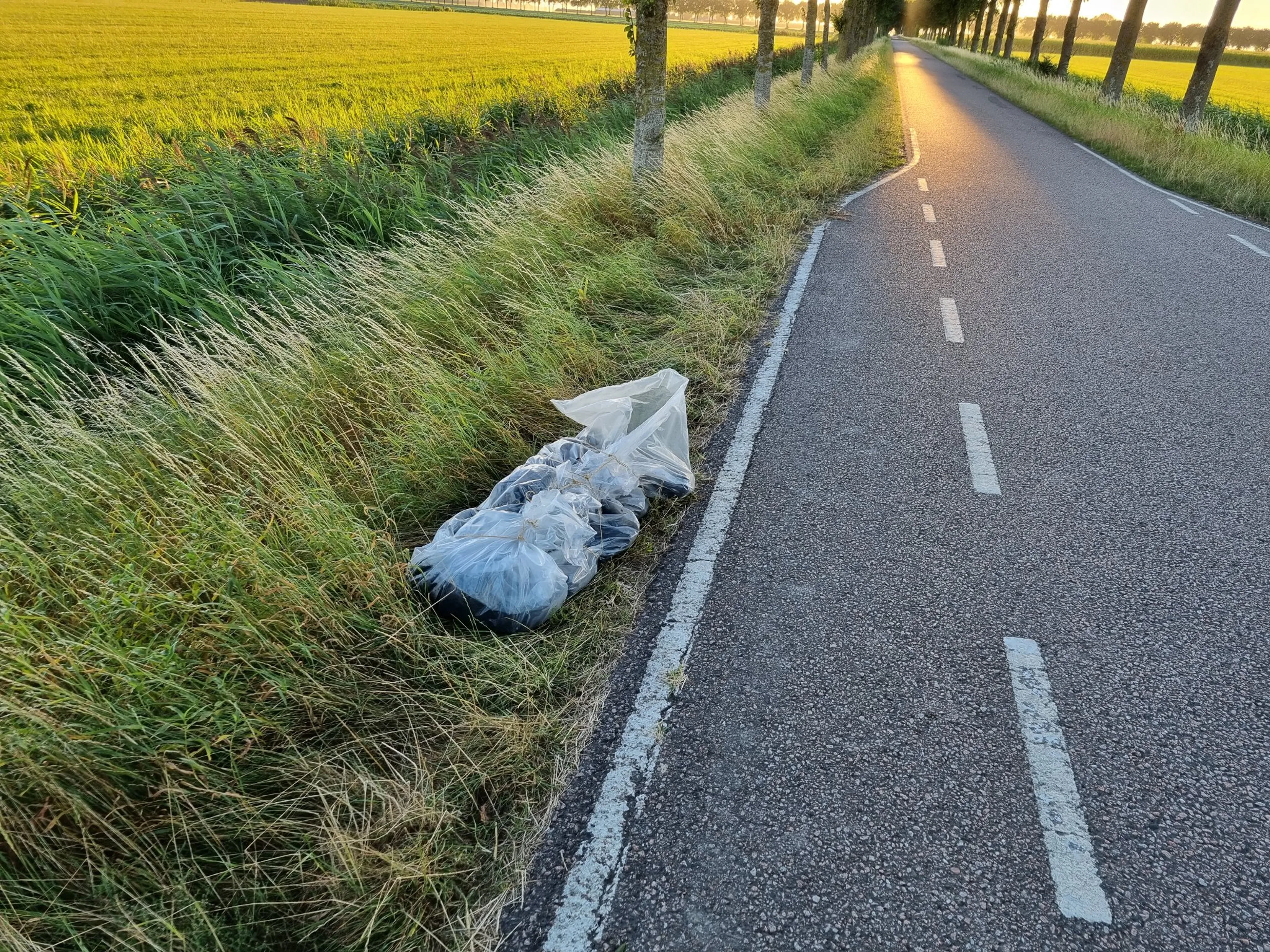 In plastic gewikkelde dode hond gevonden langs weg: 'Mensen soms beestachtiger dan beesten zelf'