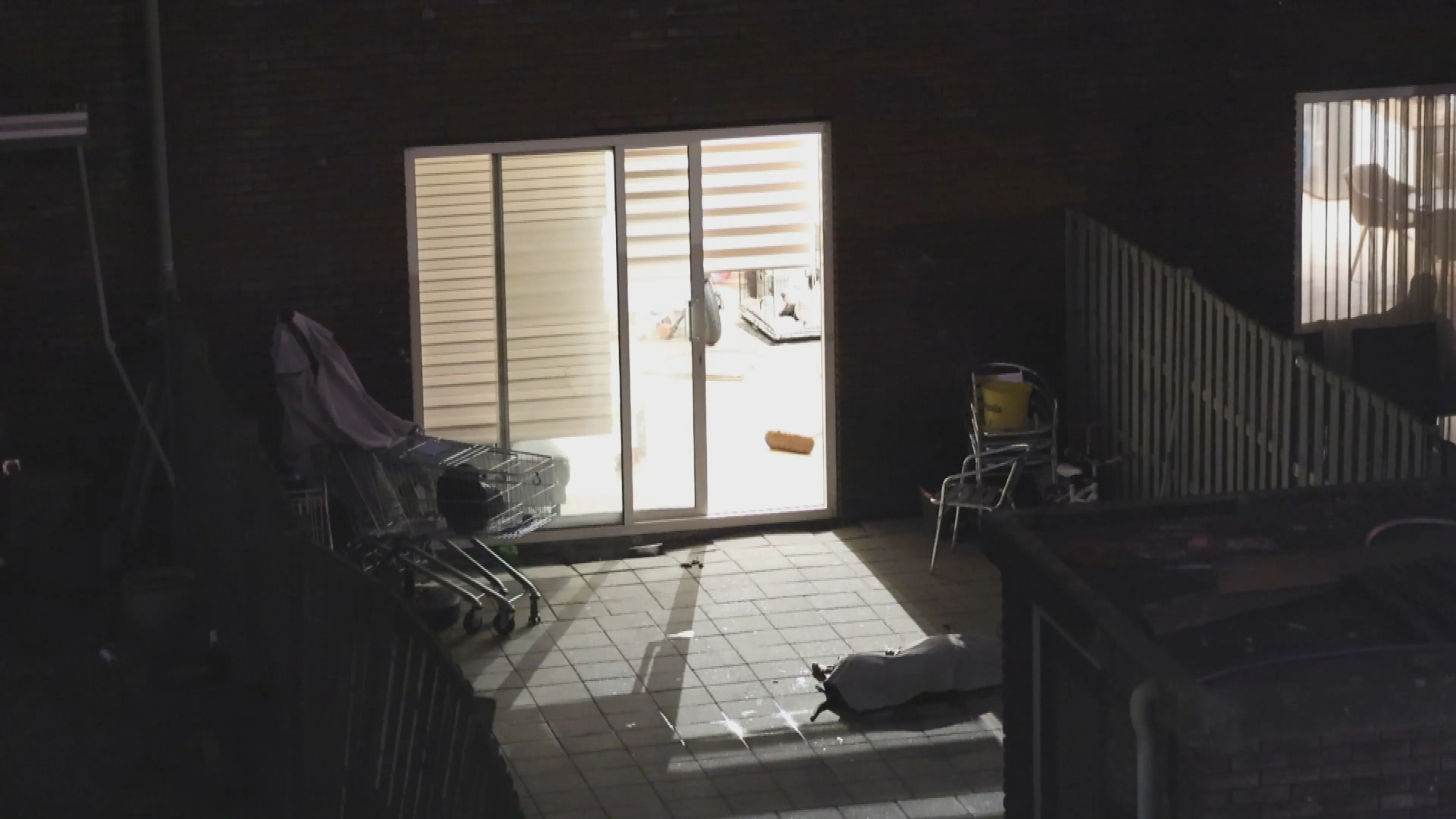 Politie over doodgeschoten hond in Zoetermeer: te gevaarlijk om te verdoven