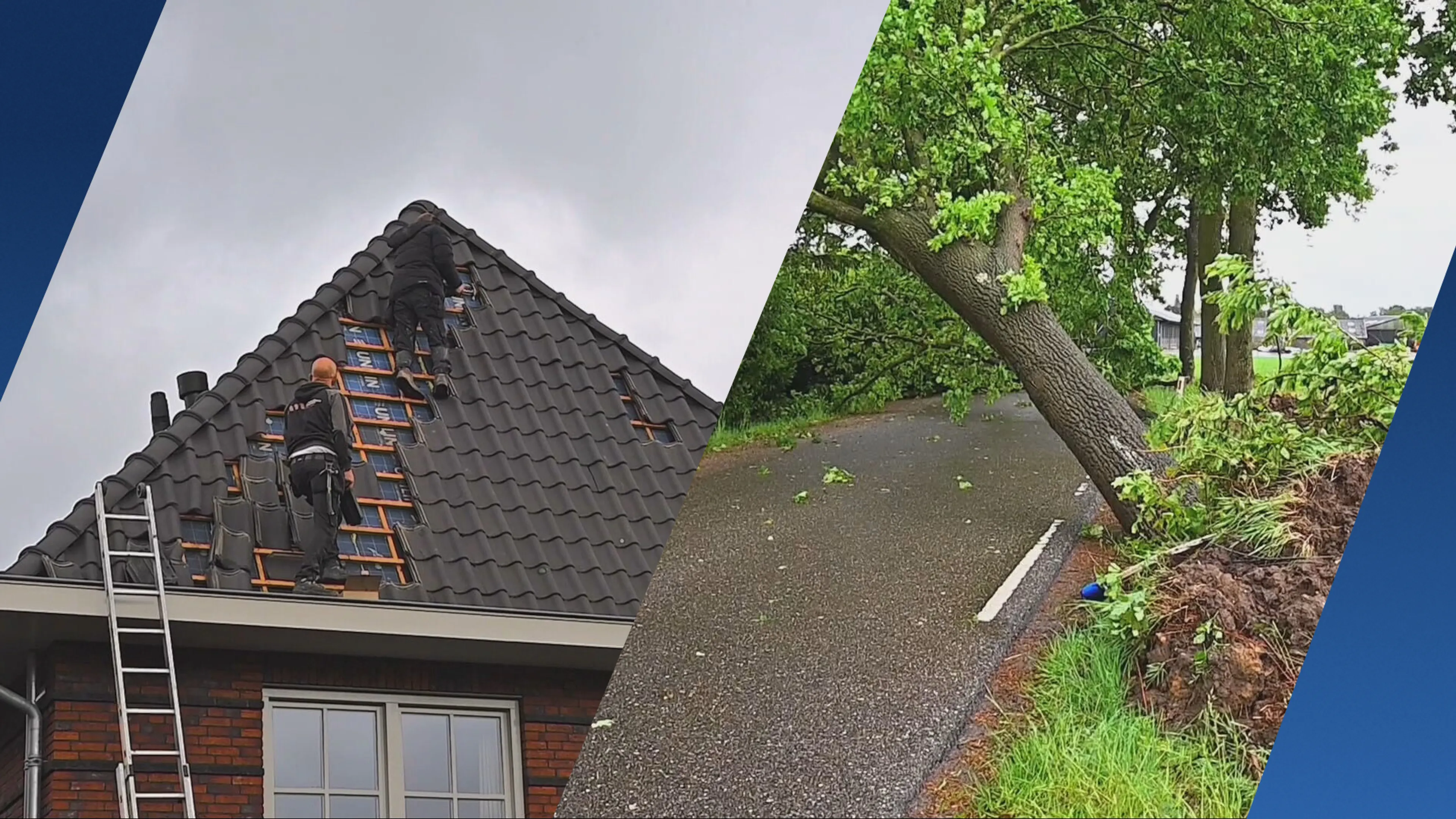 Flinke schade door windhoos in Eersel: bomen om en auto's beschadigd