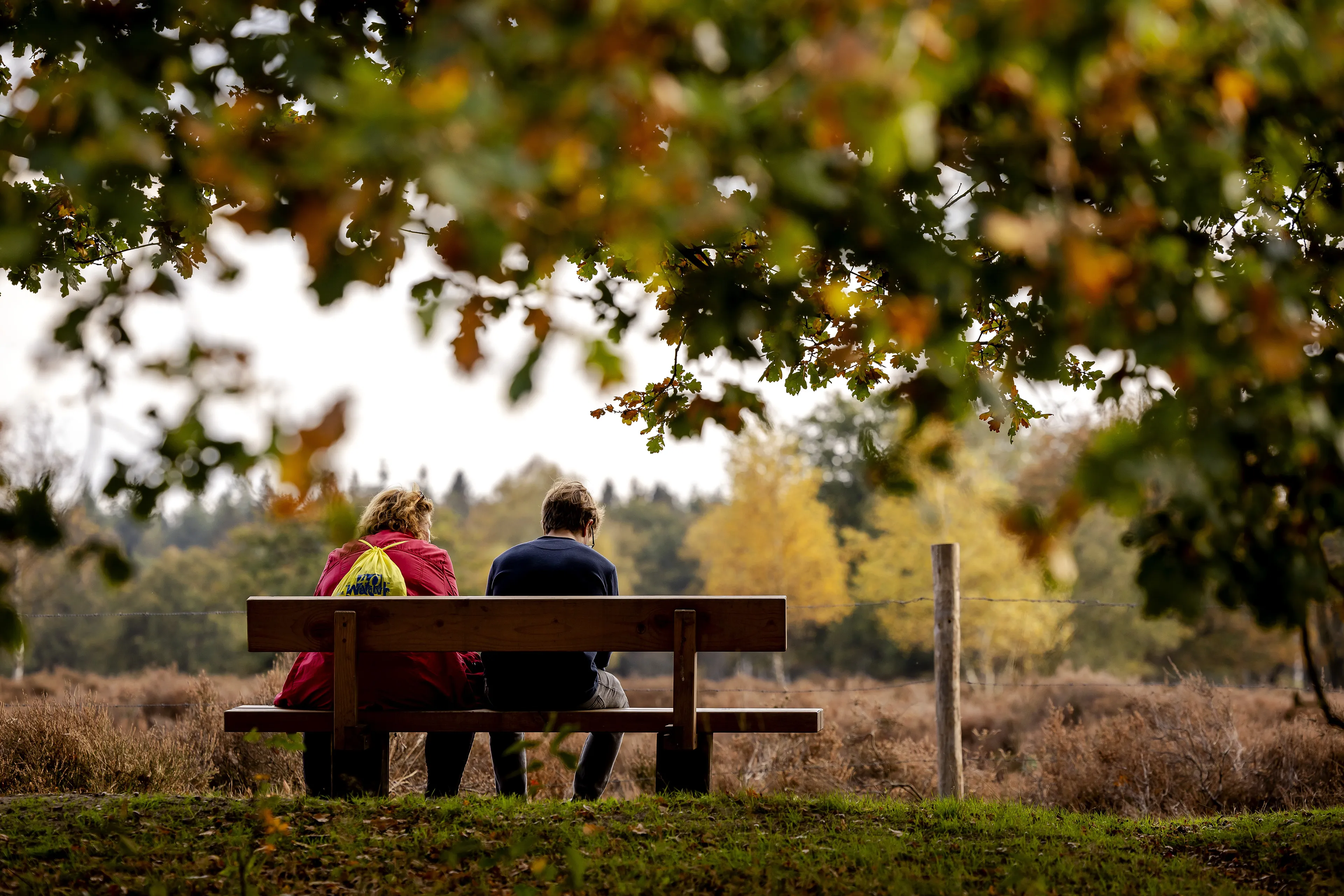 Zacht herfstweer houdt aan: temperatuur kruipt nog iets omhoog