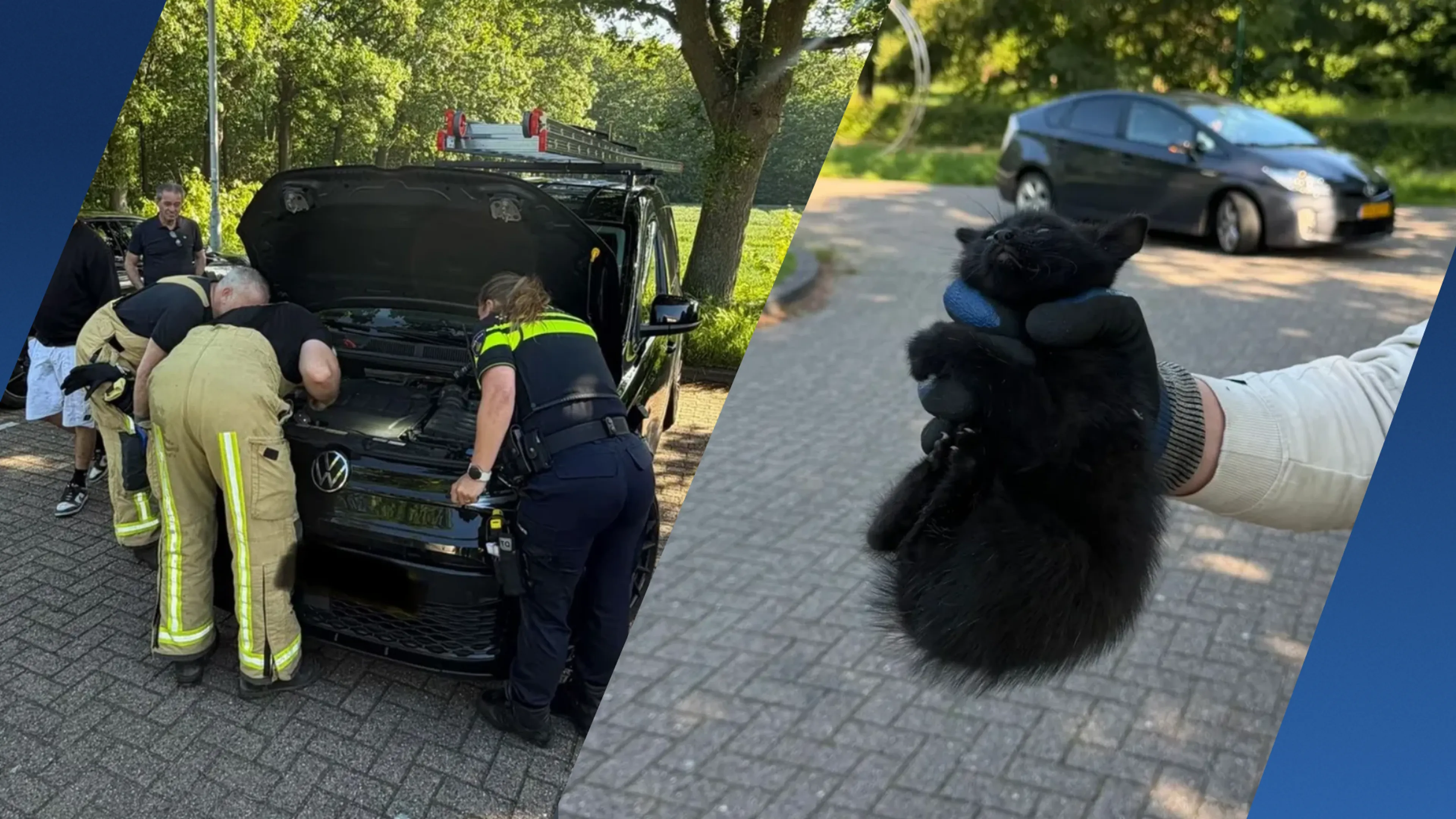 Politie en brandweer redden kitten onder motorkap: 'Hoorde hem miauwen'