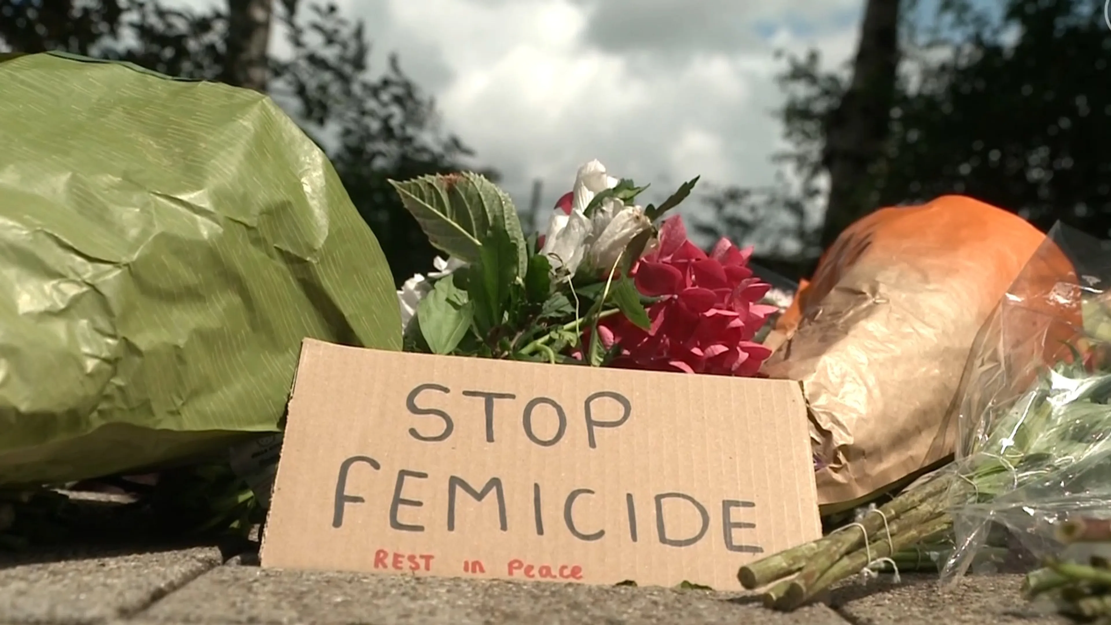 GL-PvdA en JA21 willen zwaardere straffen bij femicide