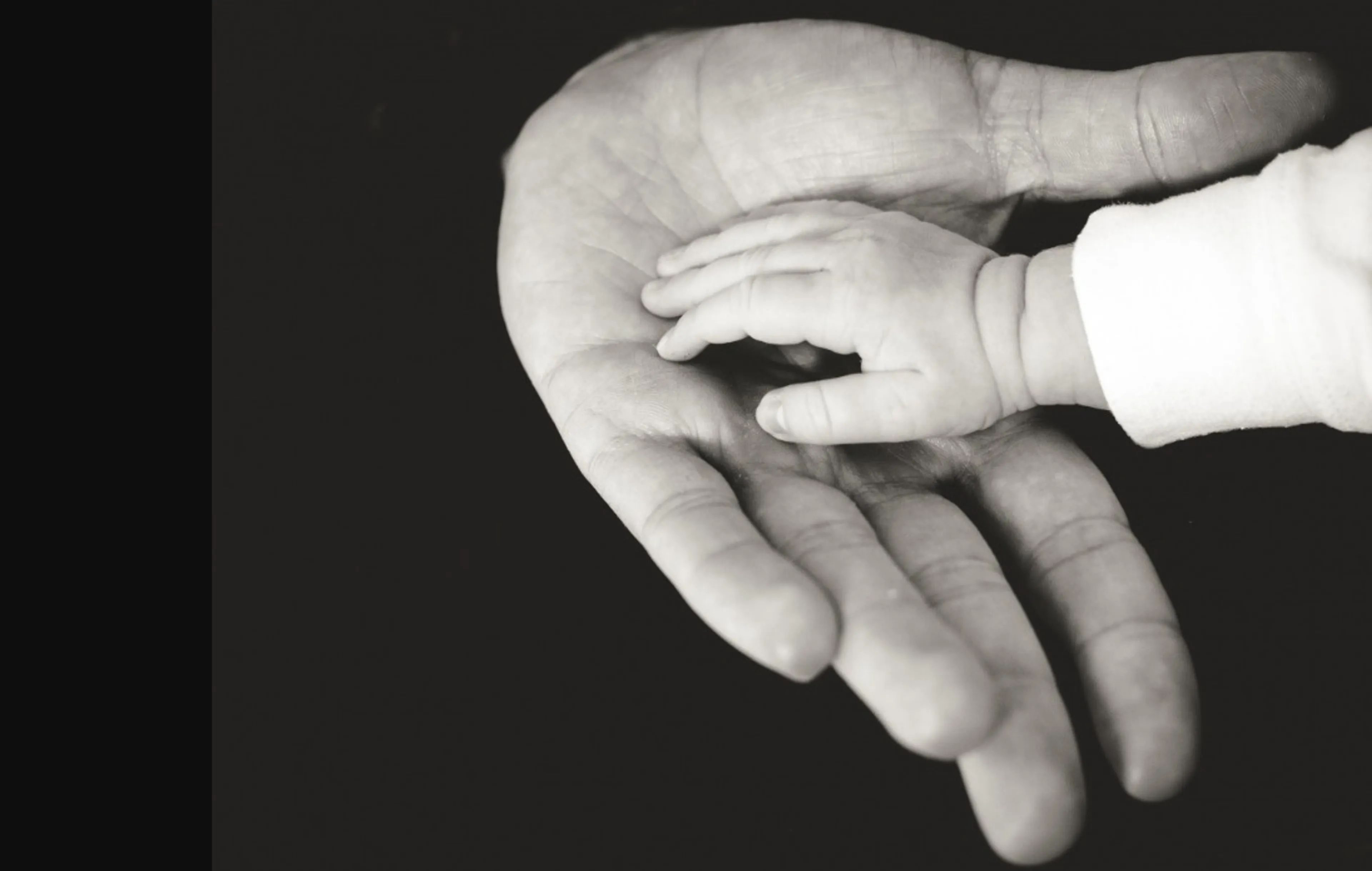 Gegevens biologische ouders van adoptiekinderen gewist