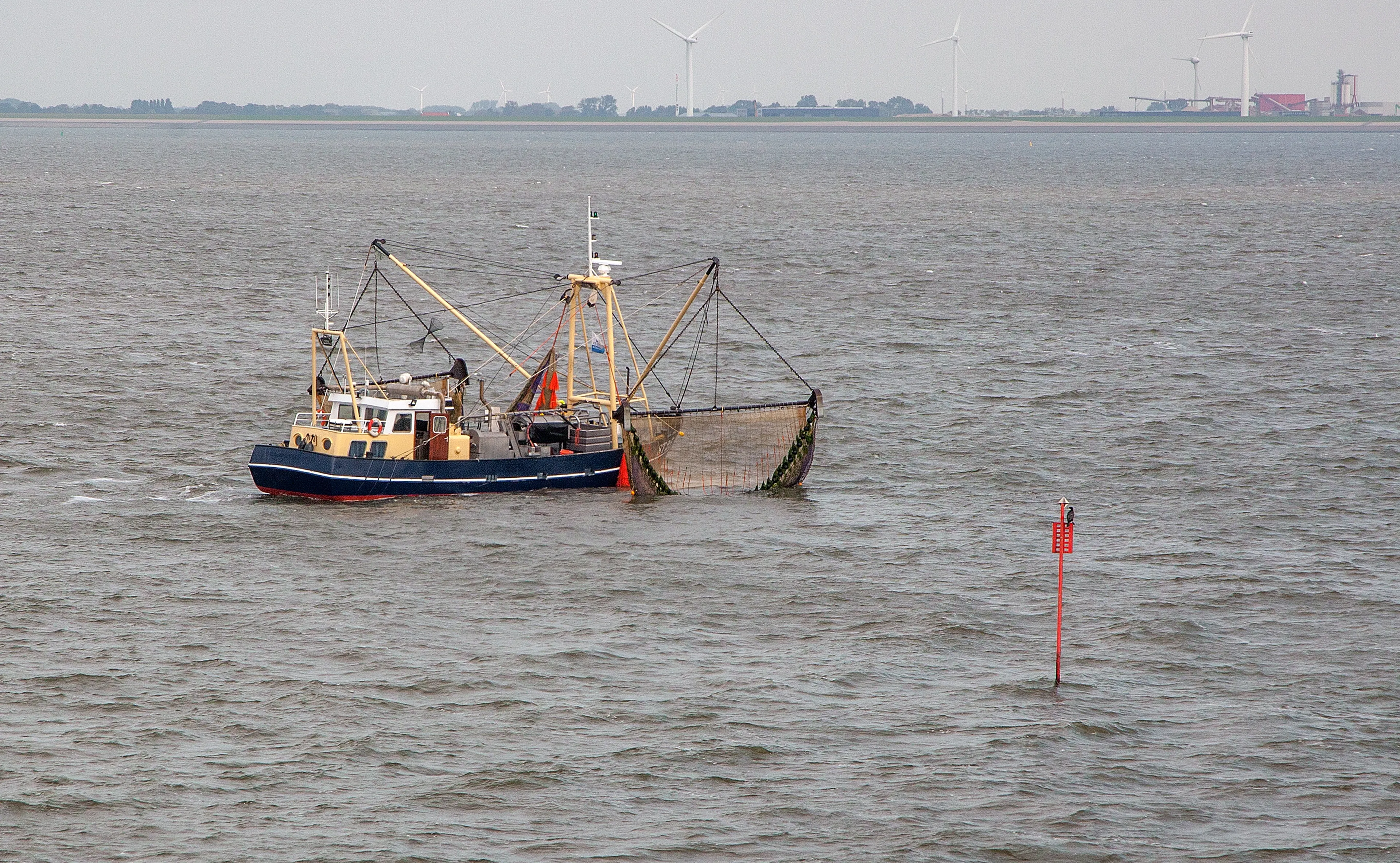Garnalenvissers zoeken met speciale netten naar vermiste jongen (12) bij Terschelling