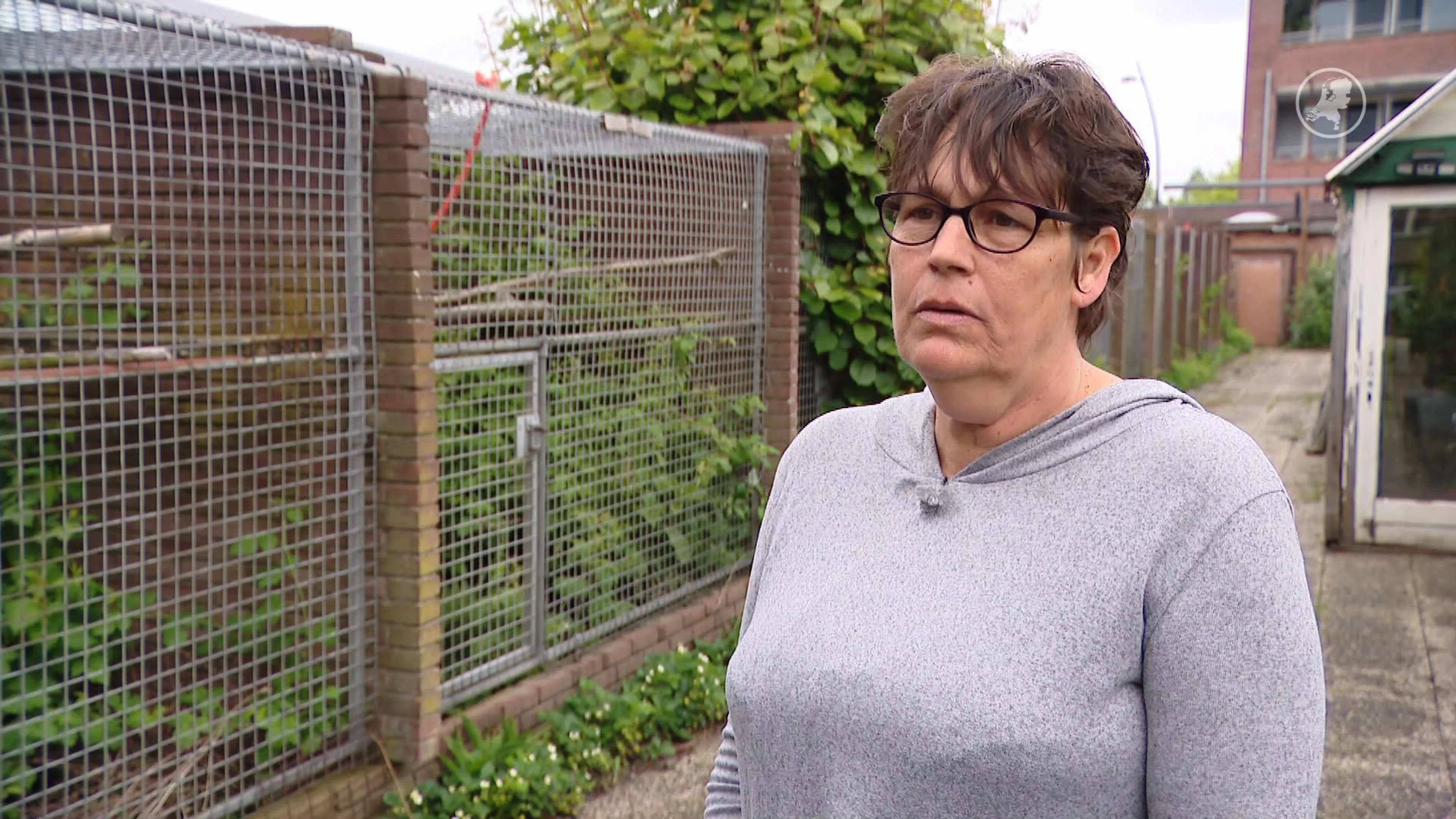 Dierenopvang van Anita bestaat 50 jaar, maar vieren wil ze het niet