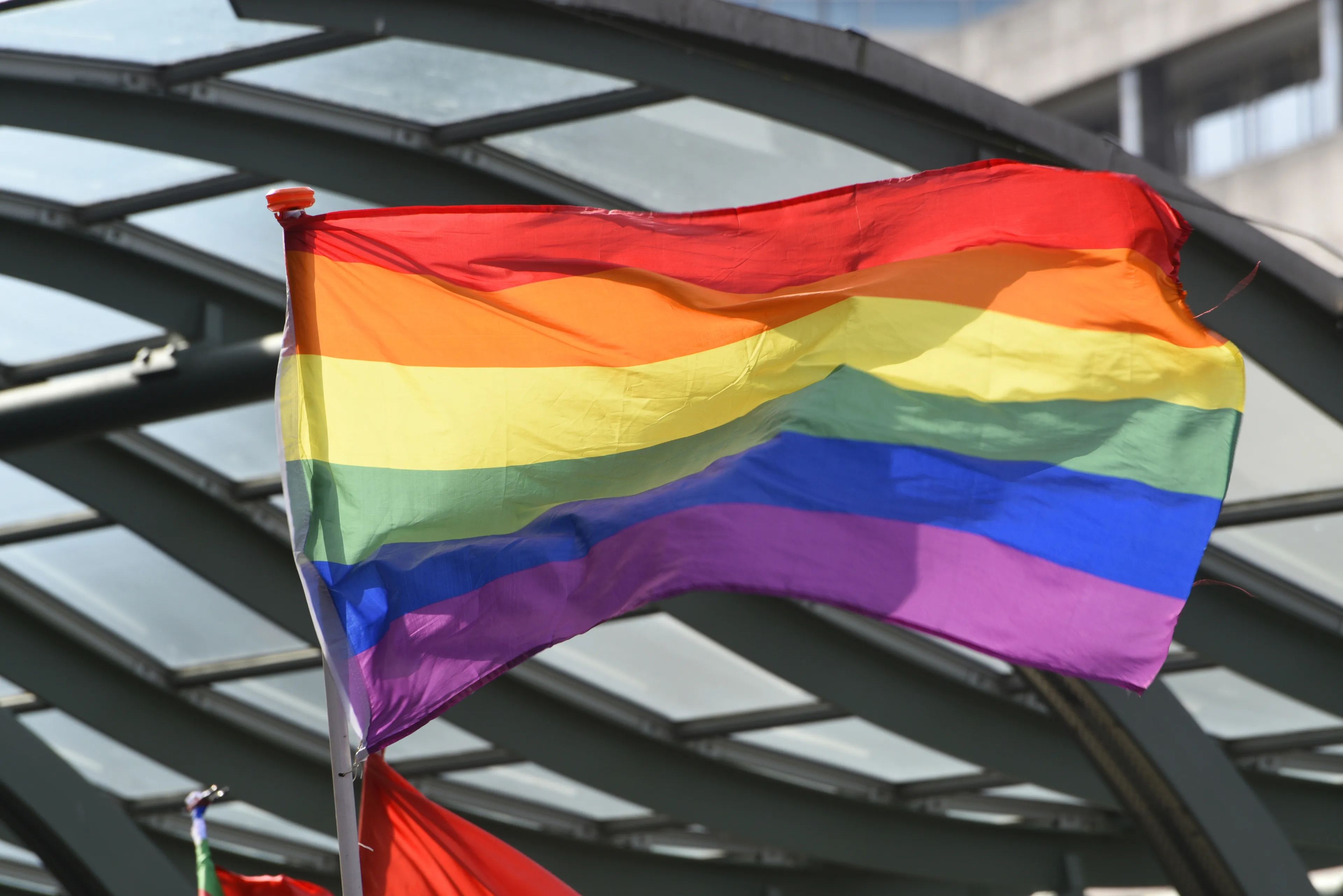 Politie zoekt getuigen van diefstal en in brand steken regenboogvlag
