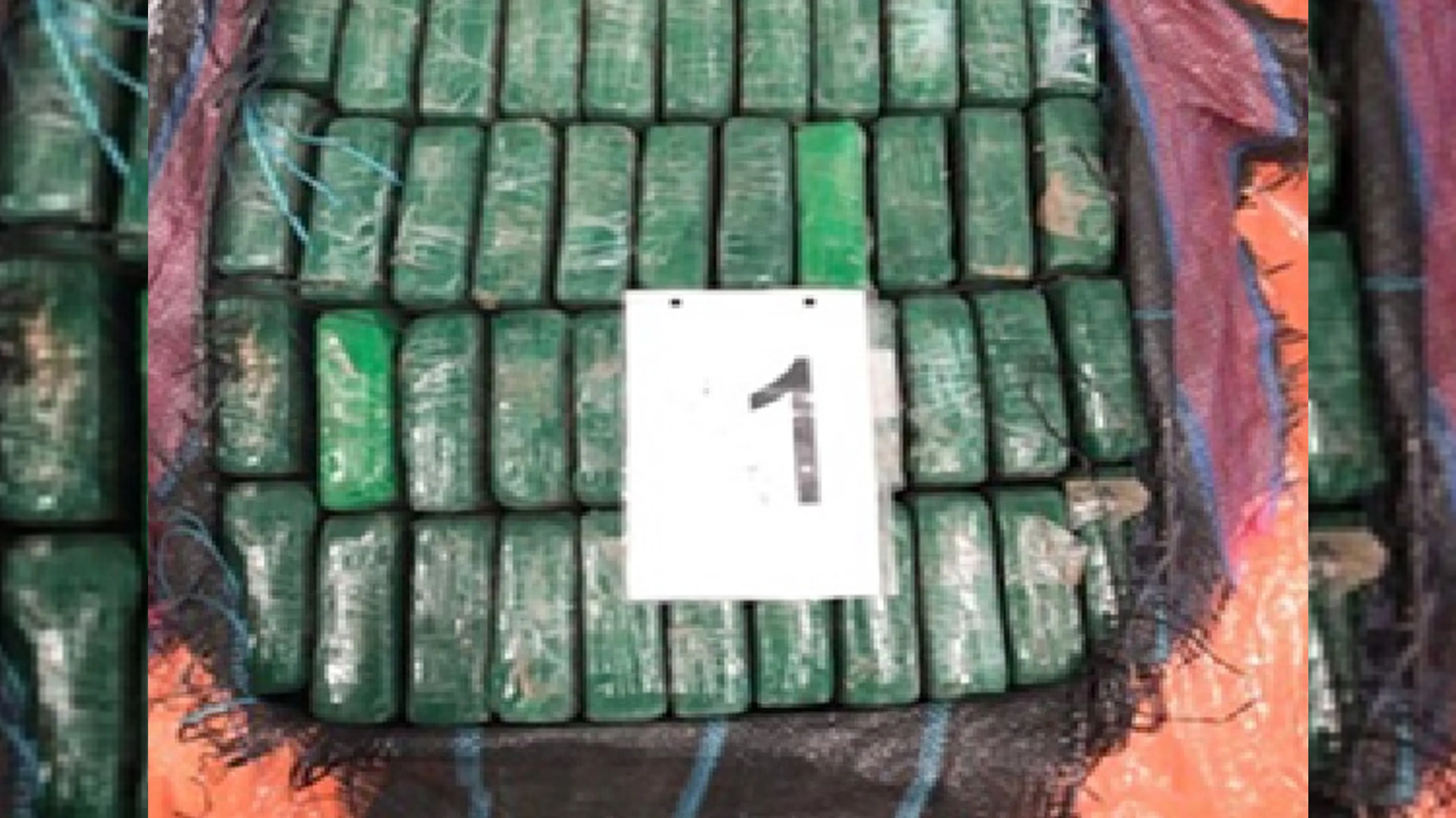 Rotterdamse douane treft 1000 kilo cocaïne aan tussen bananen uit Ecuador