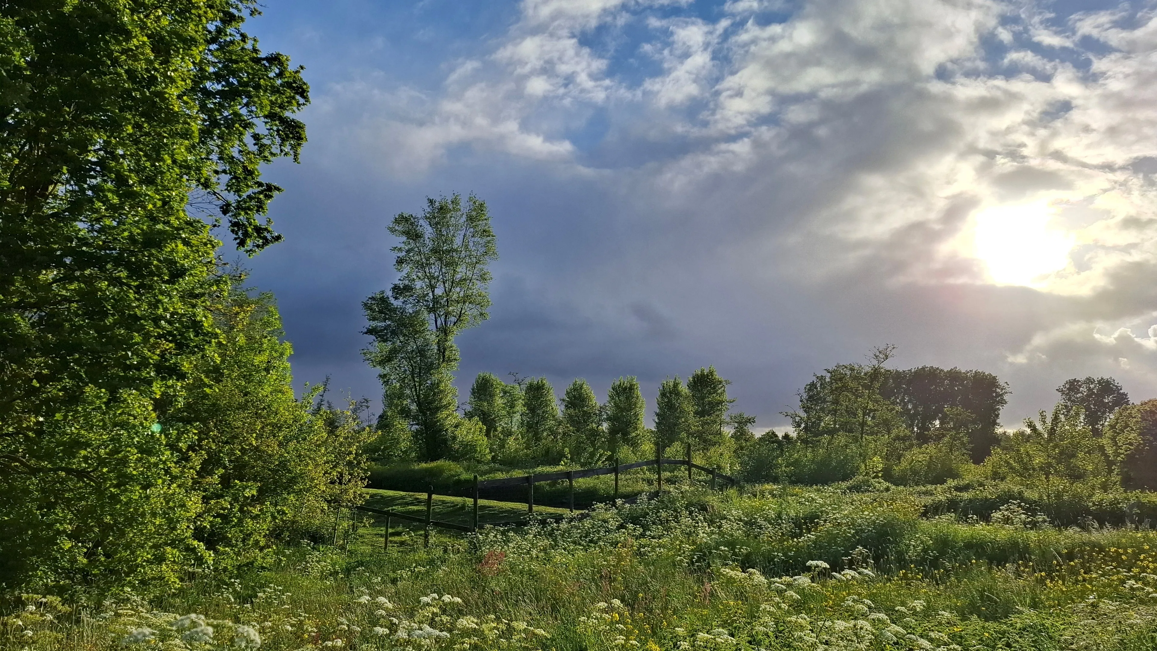 Lente blijft kwakkelen met buien, wind en lage temperaturen