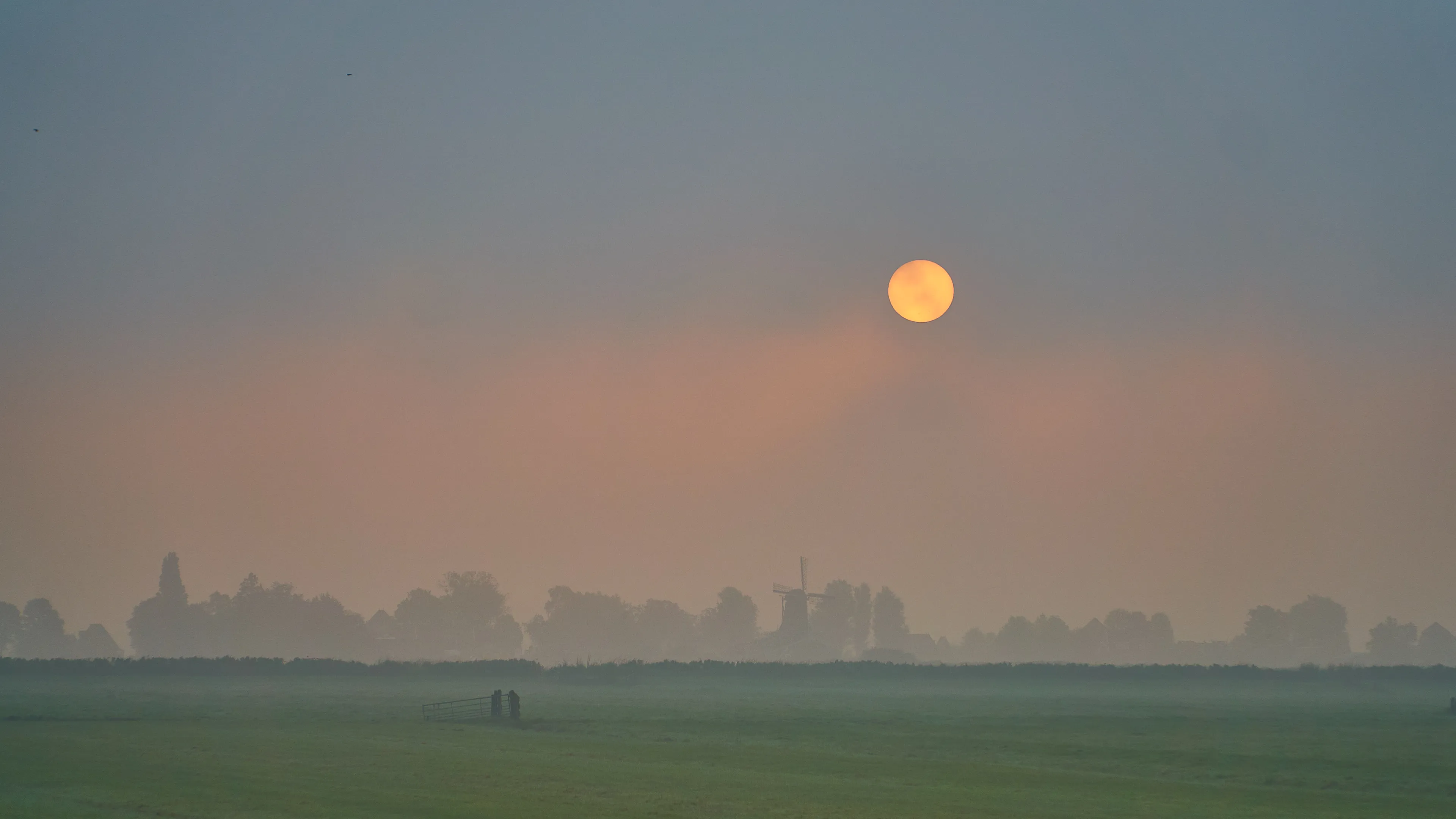 Dit is de reden waarom het elke ochtend zo mistig is