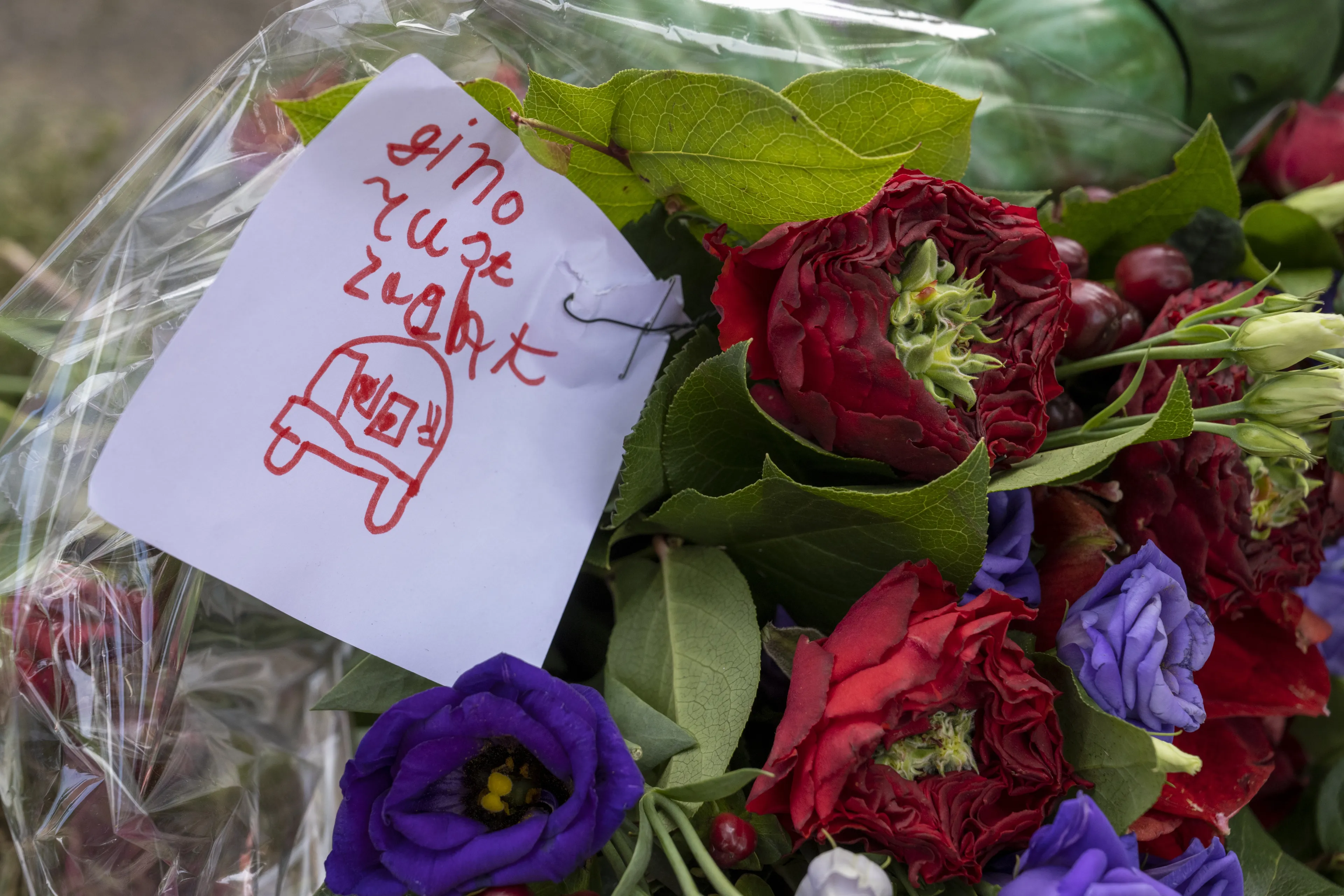 Youri F., tweede man in zaak Gino, werd onterecht als verdachte gezien