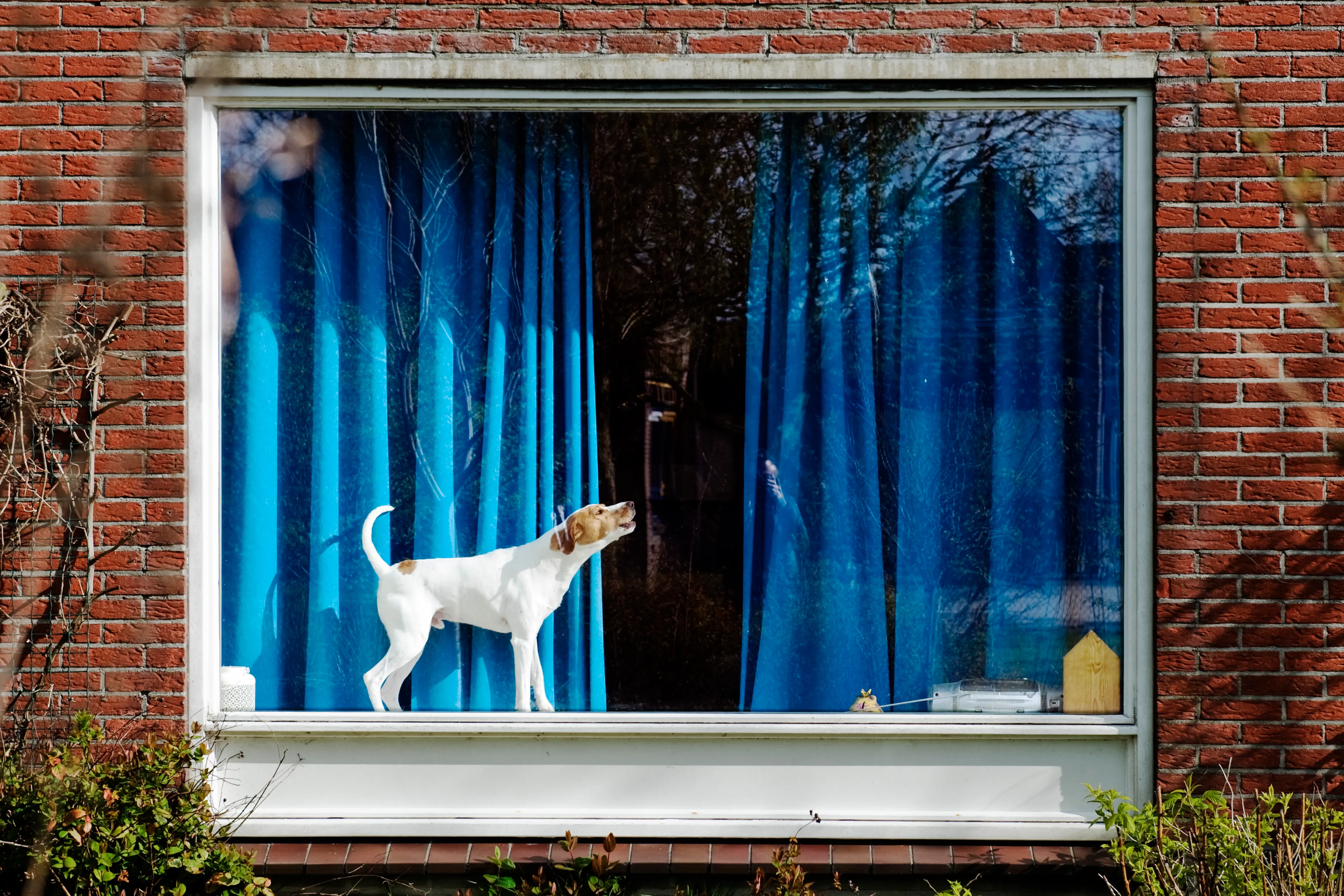 'Meer burenruzies door thuiswerken en thuis vakantie vieren'