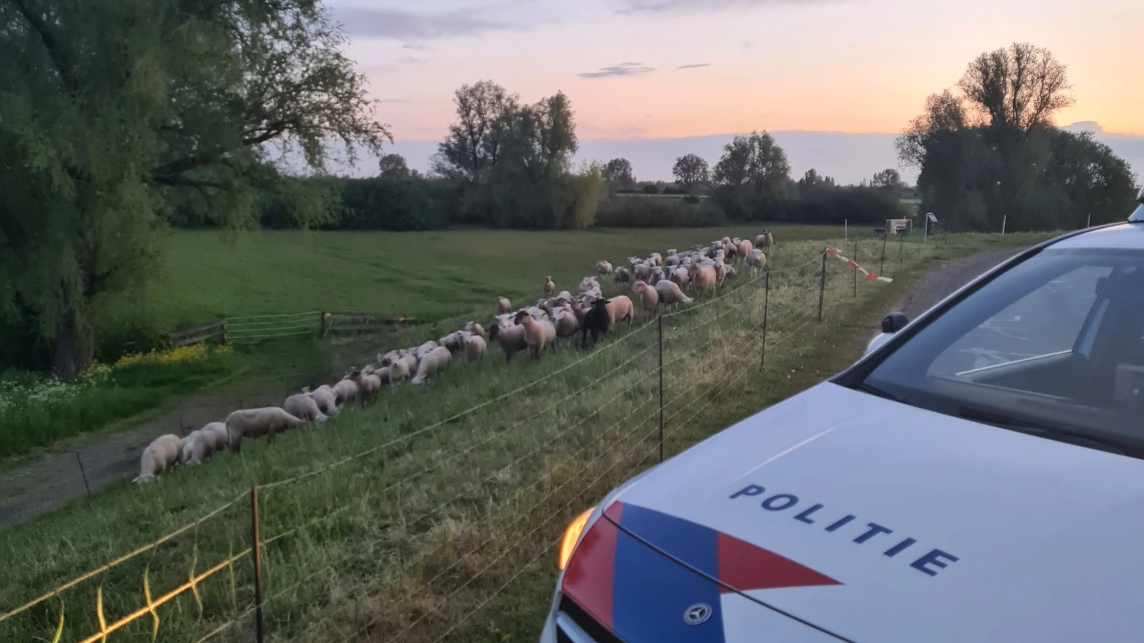 Agenten minutenlang onder stroom bij heldhaftige reddingsactie