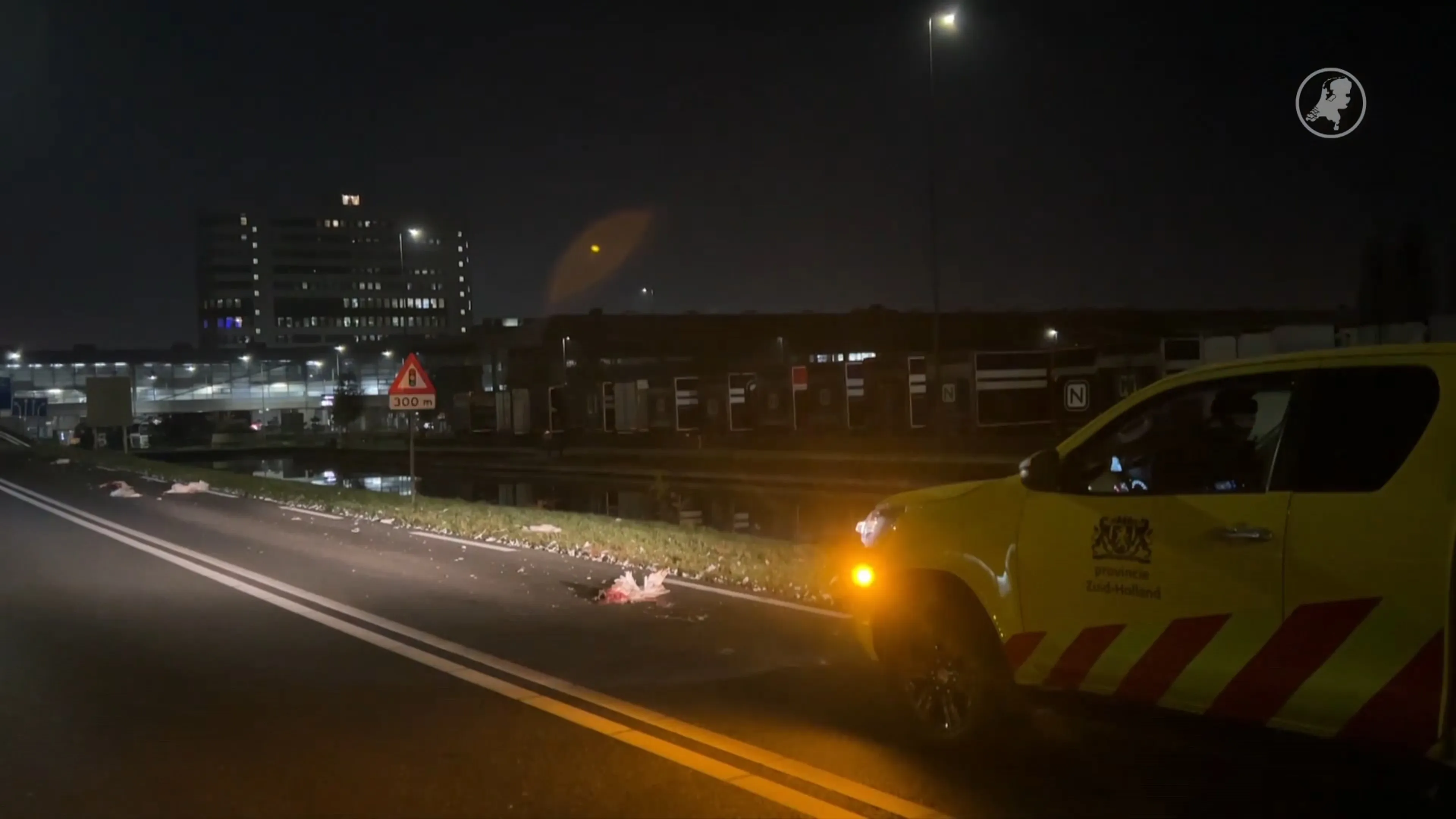 Ganzen doodgereden op N466 in Honselersdijk