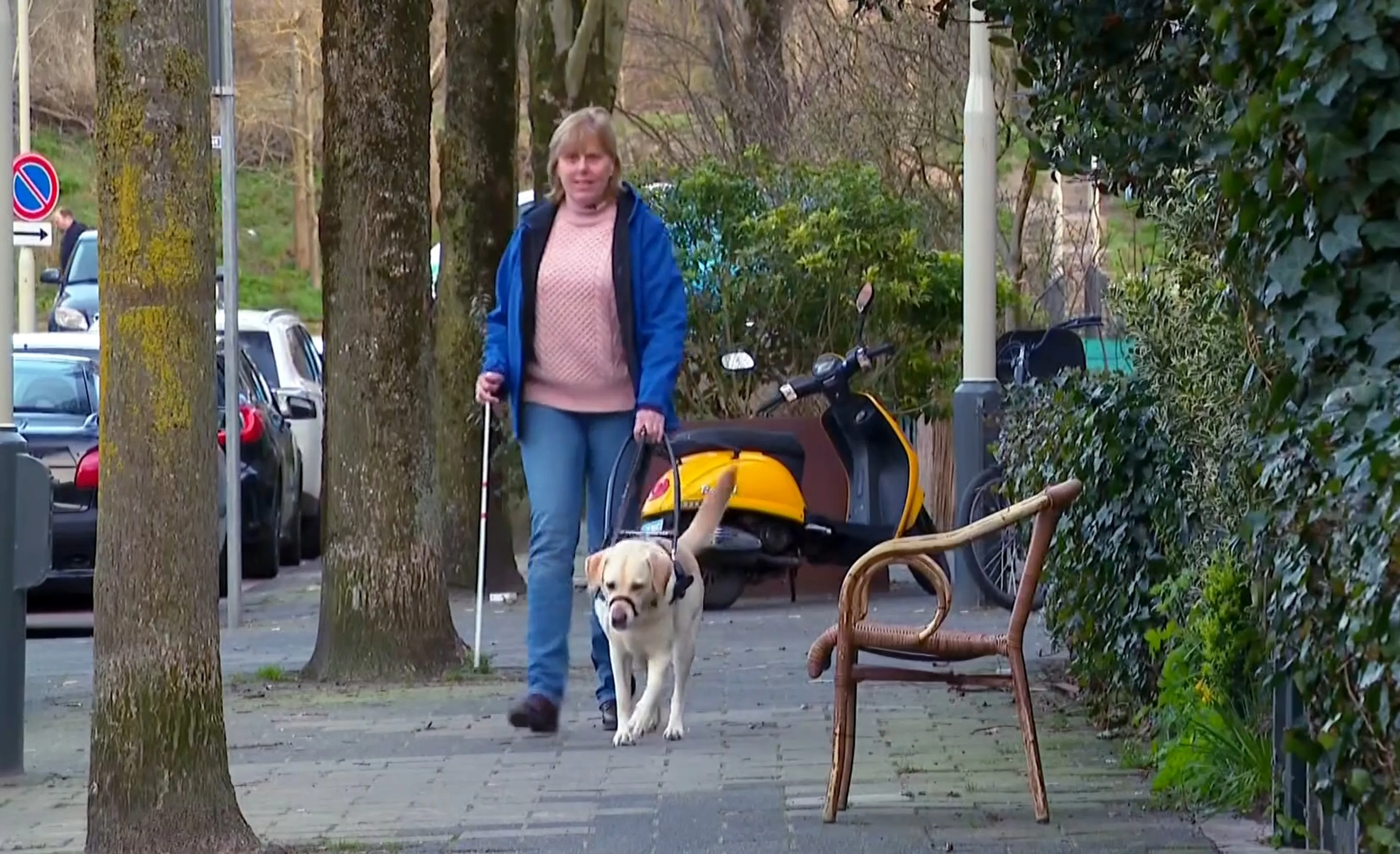 Slechtziende Rita geweigerd door taxi om geleidehond Sterre: 'Ze moeten ons meenemen'