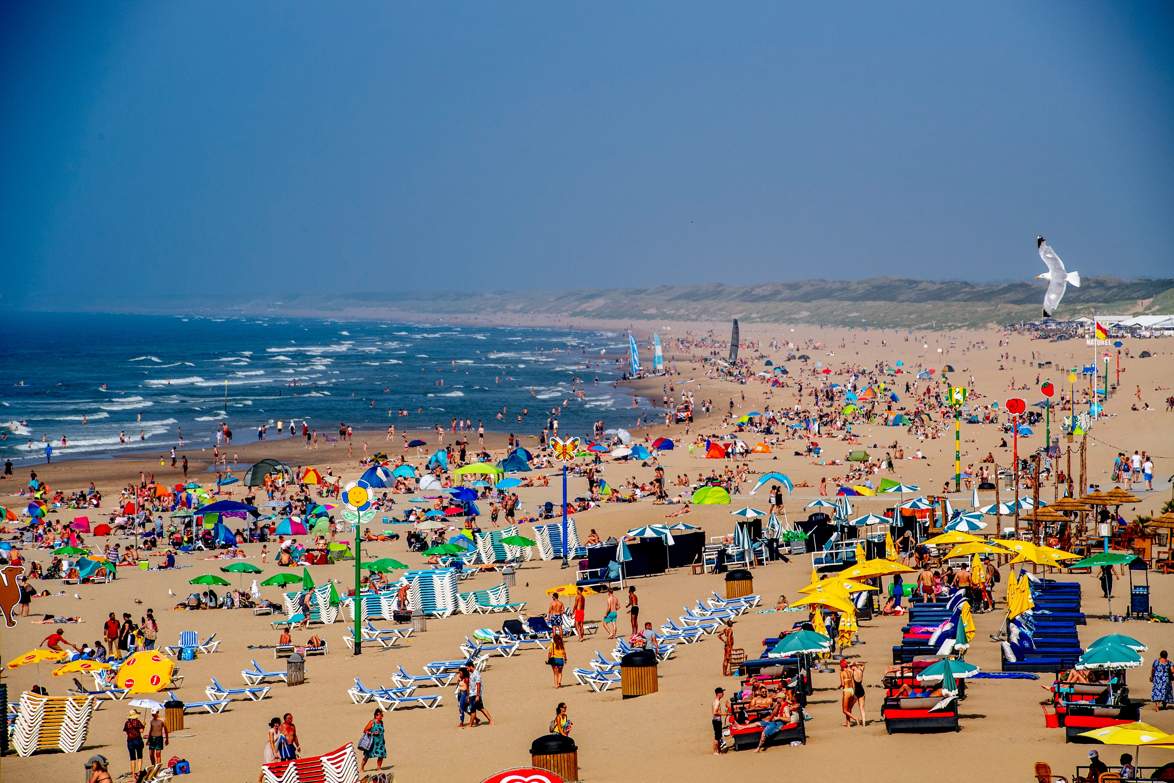 Mooie nazomer zorgt voor grote drukte op de stranden