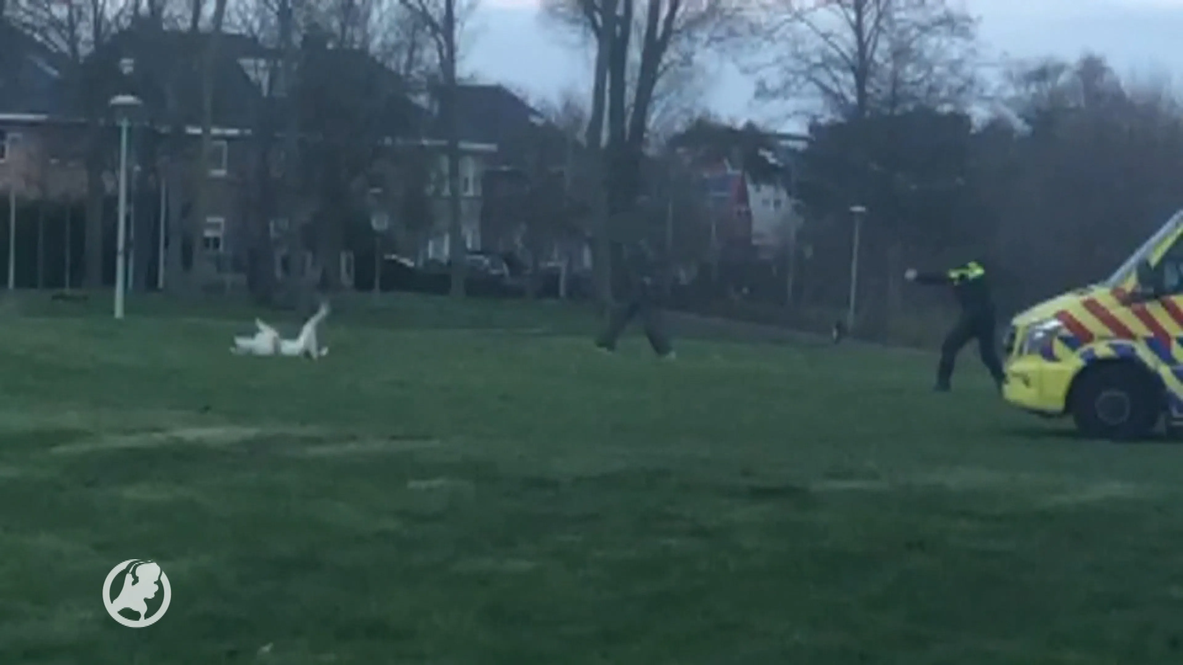 Agressieve hond Beverwijk reageerde niet op waarschuwing, agent schoot beest daarop neer