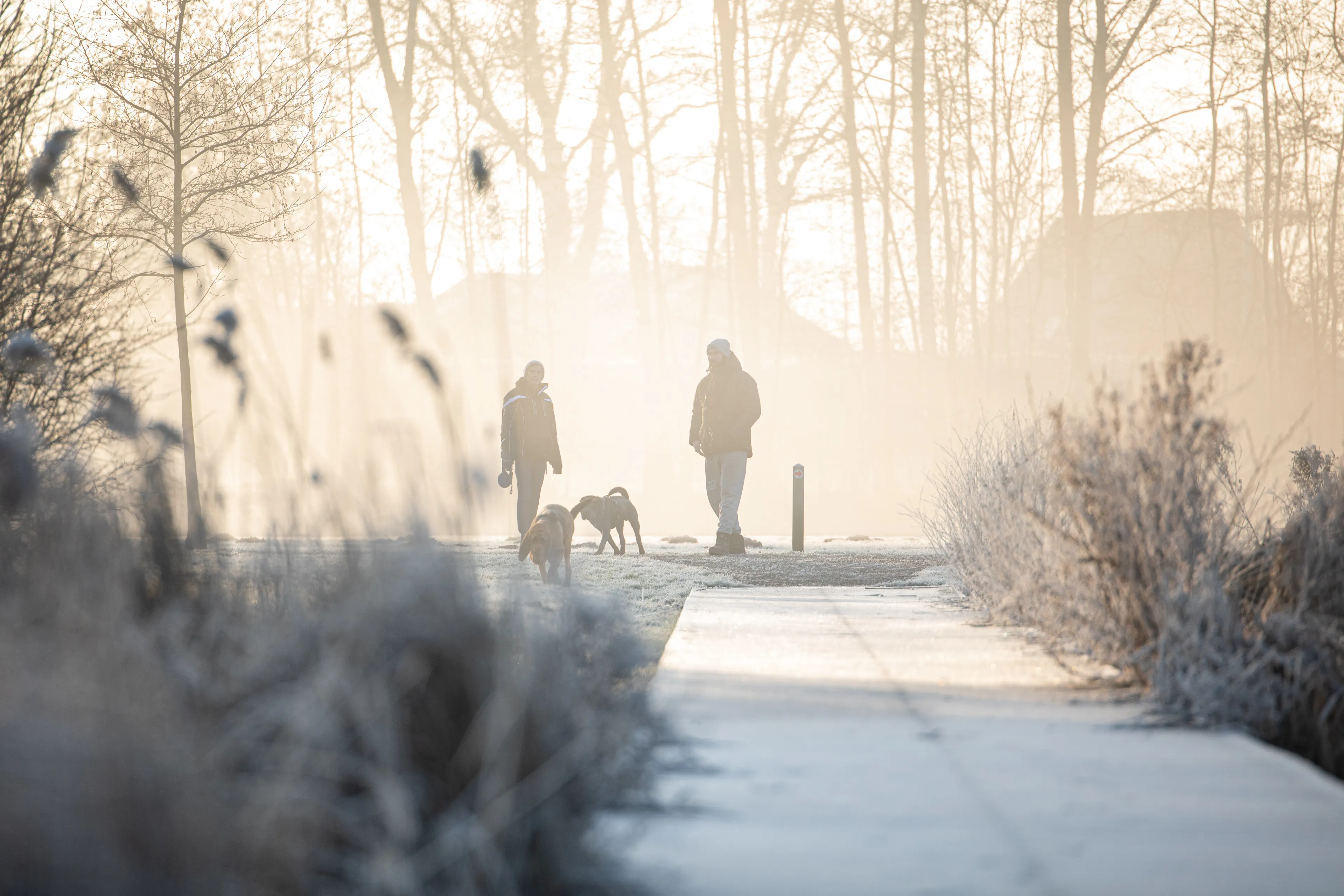 Code geel, hagel- en sneeuwbuien en gladheid: dit kunnen we vandaag en morgen verwachten