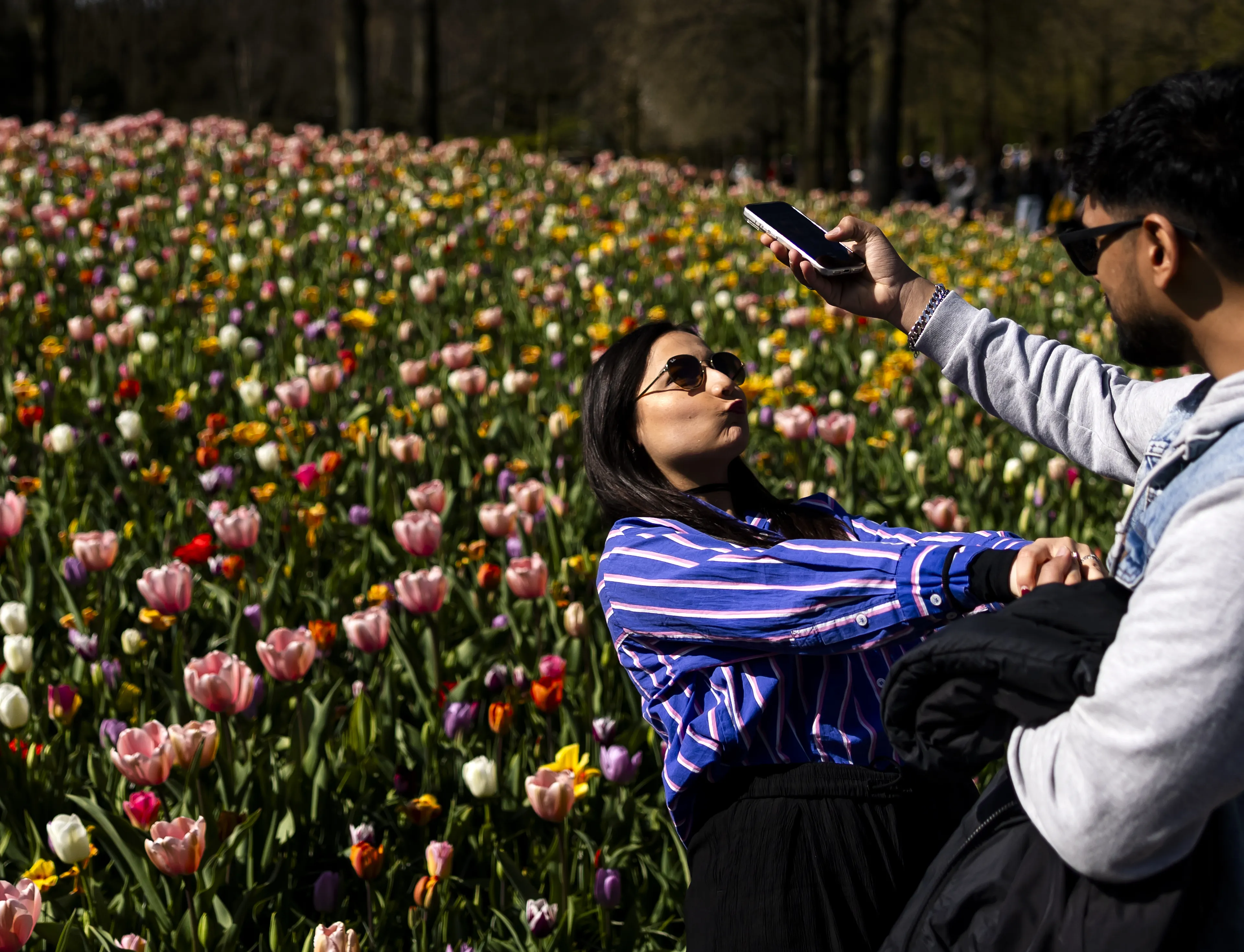 Lenteweer zet door: zon overheerst en het wordt steeds warmer