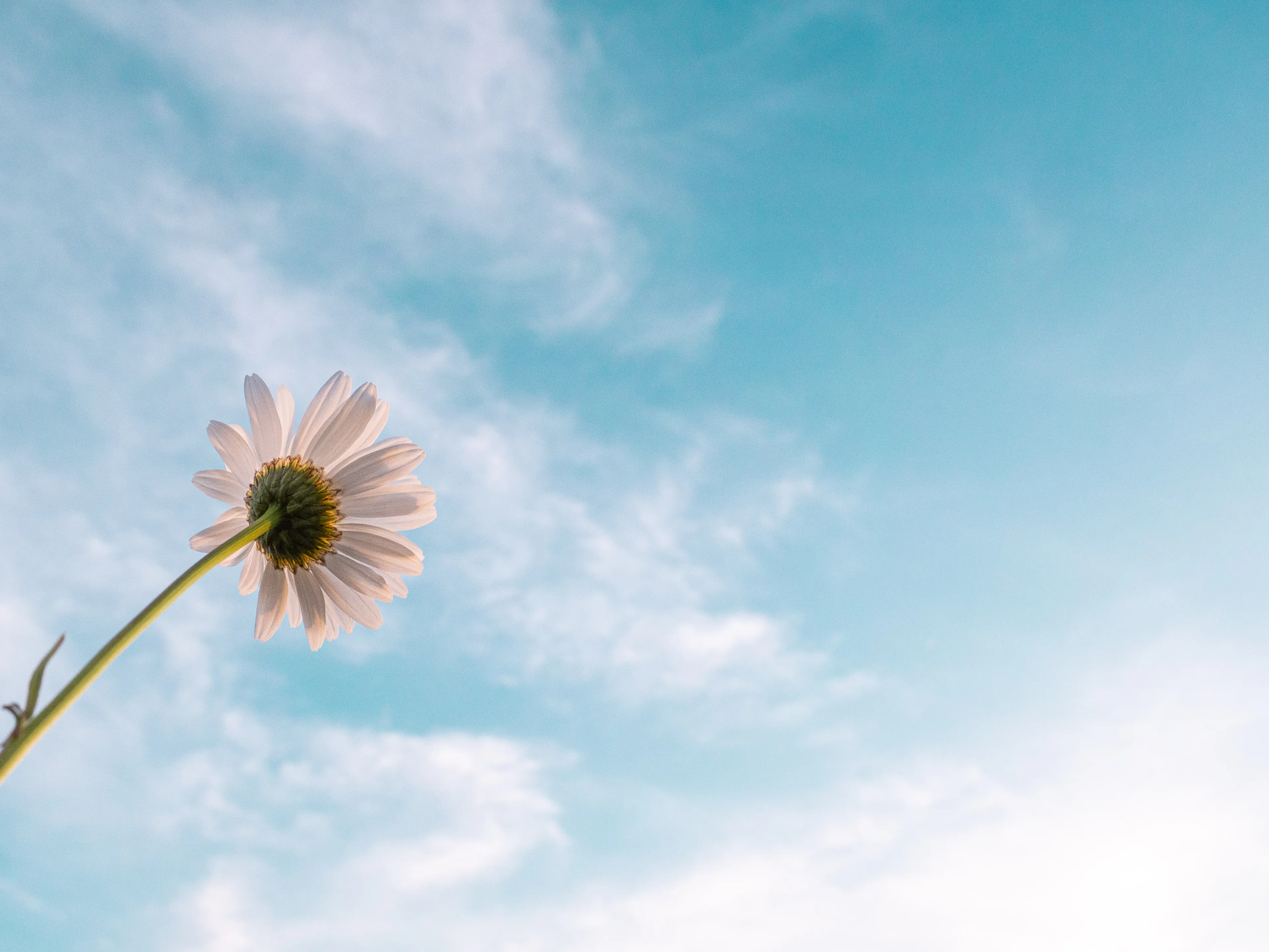 Zomer-herfst gaat maar door: 27 graden voorspeld