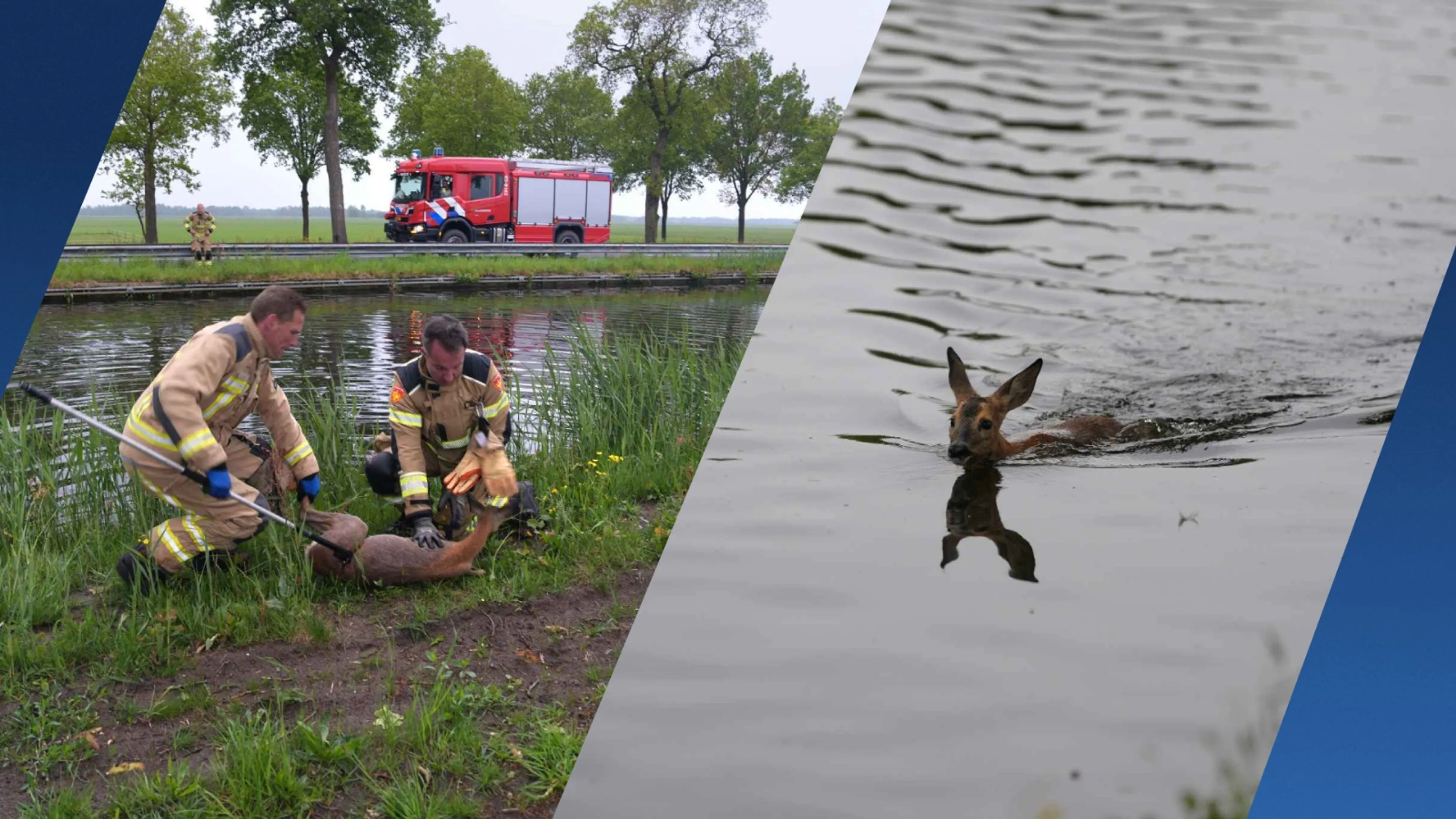 ZIEN: Brandweer haalt drie reeën uit het water in Havelte