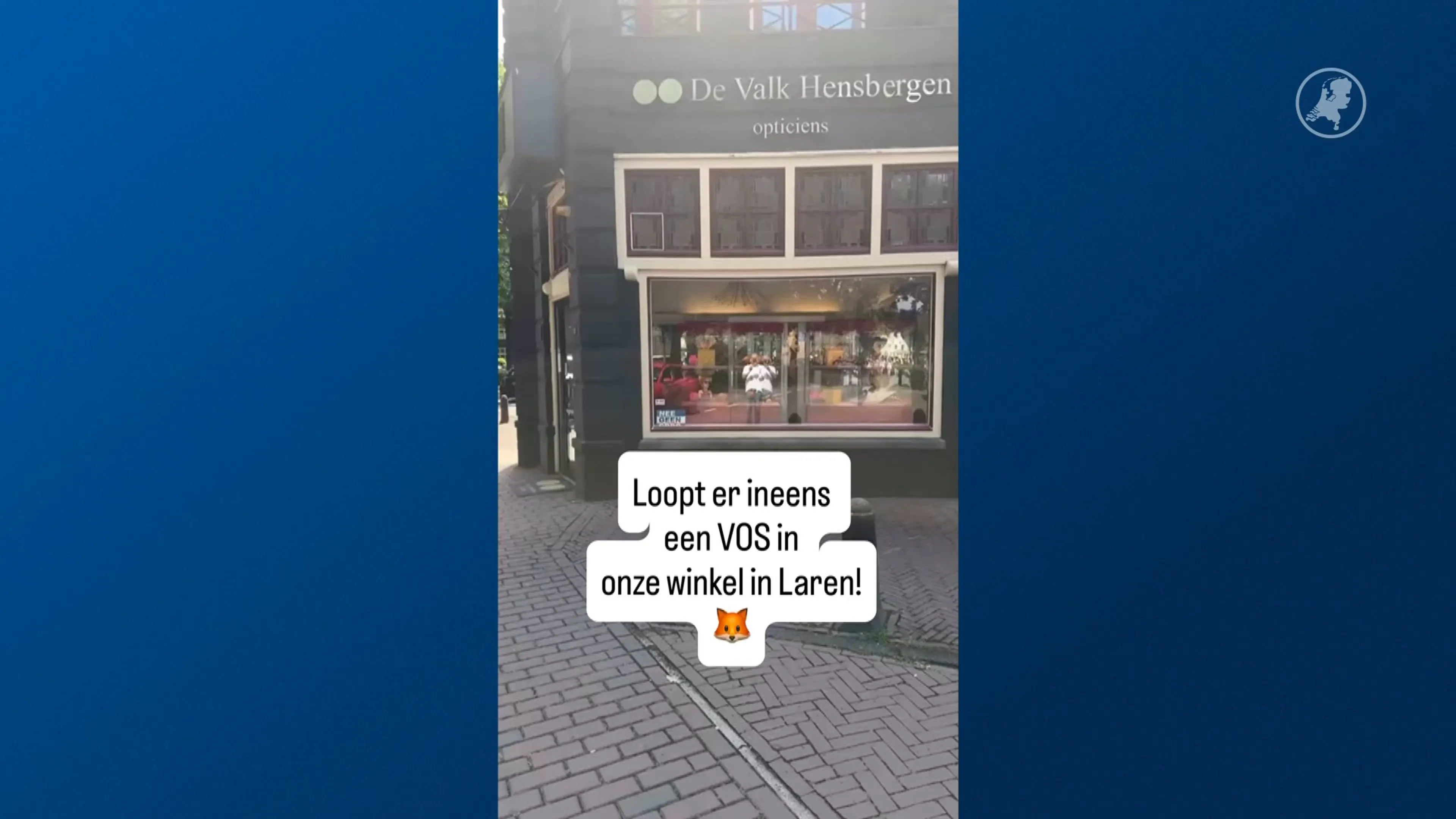 Bijzondere klant in Laren: vos loopt zomaar naar binnen