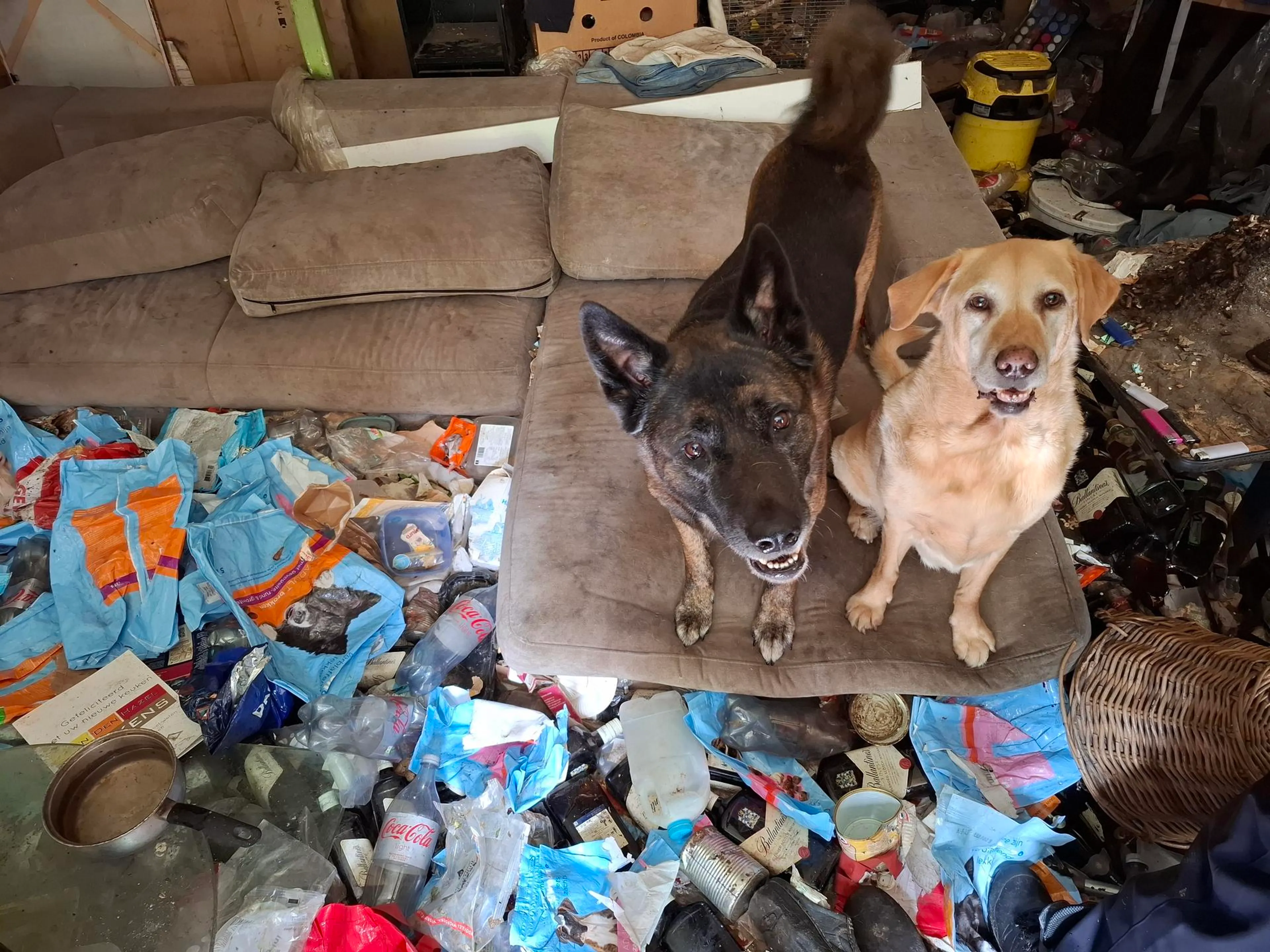 Honden, katten en vogels gered uit extreem vieze woning: 'Vuilinisbelt'
